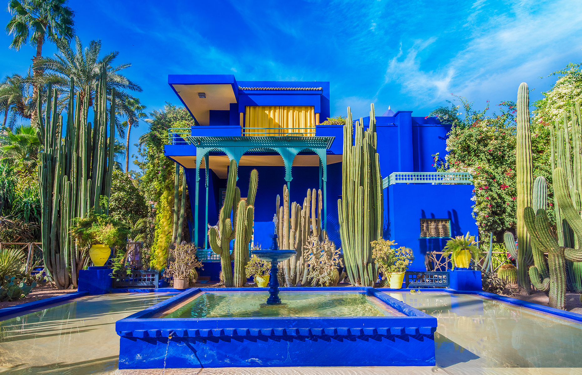 Jardin Majorelle in Marrakech (Image: Balate Dorin/Shutterstock)