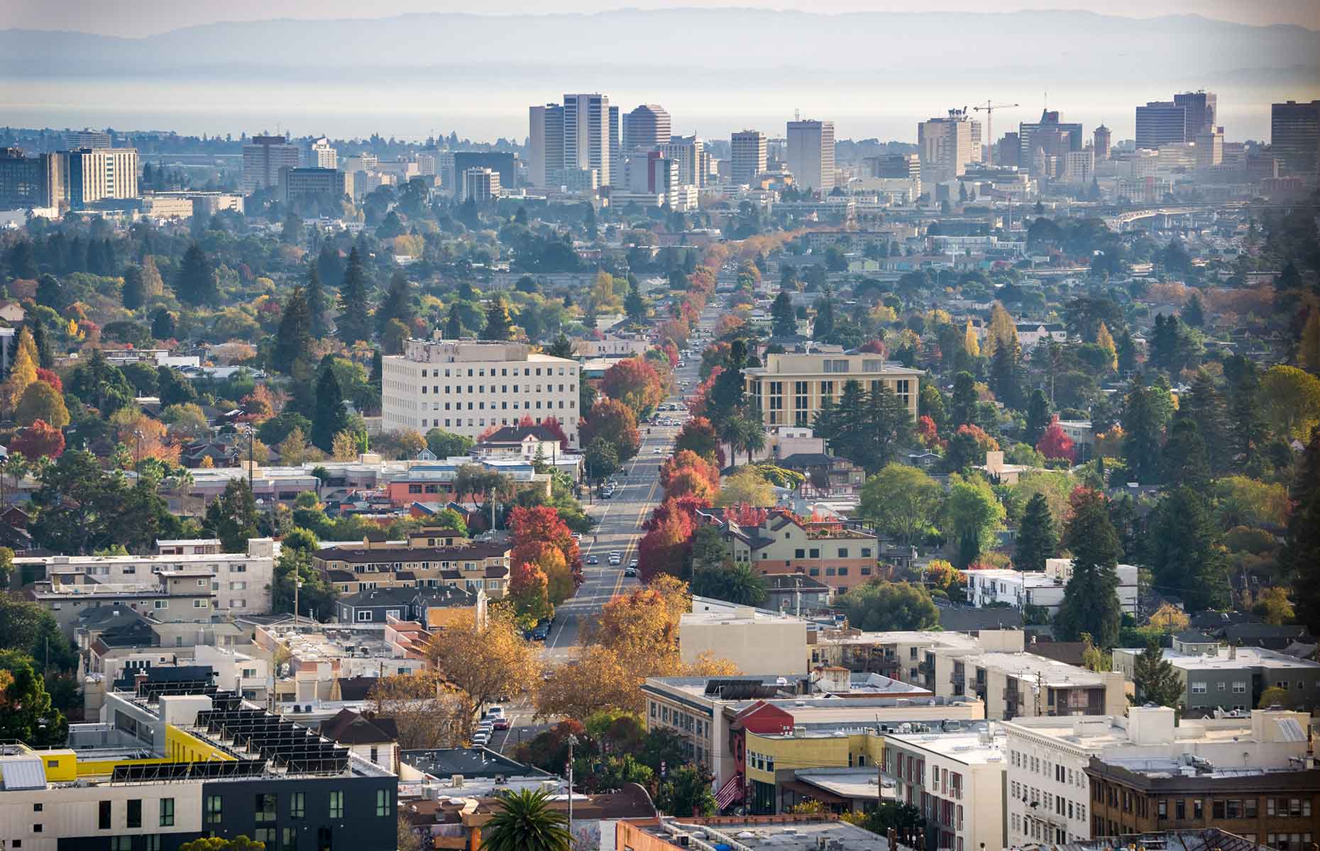 Aerial view of Oakland, California (Image: Sundry Photography/Shutterstock)