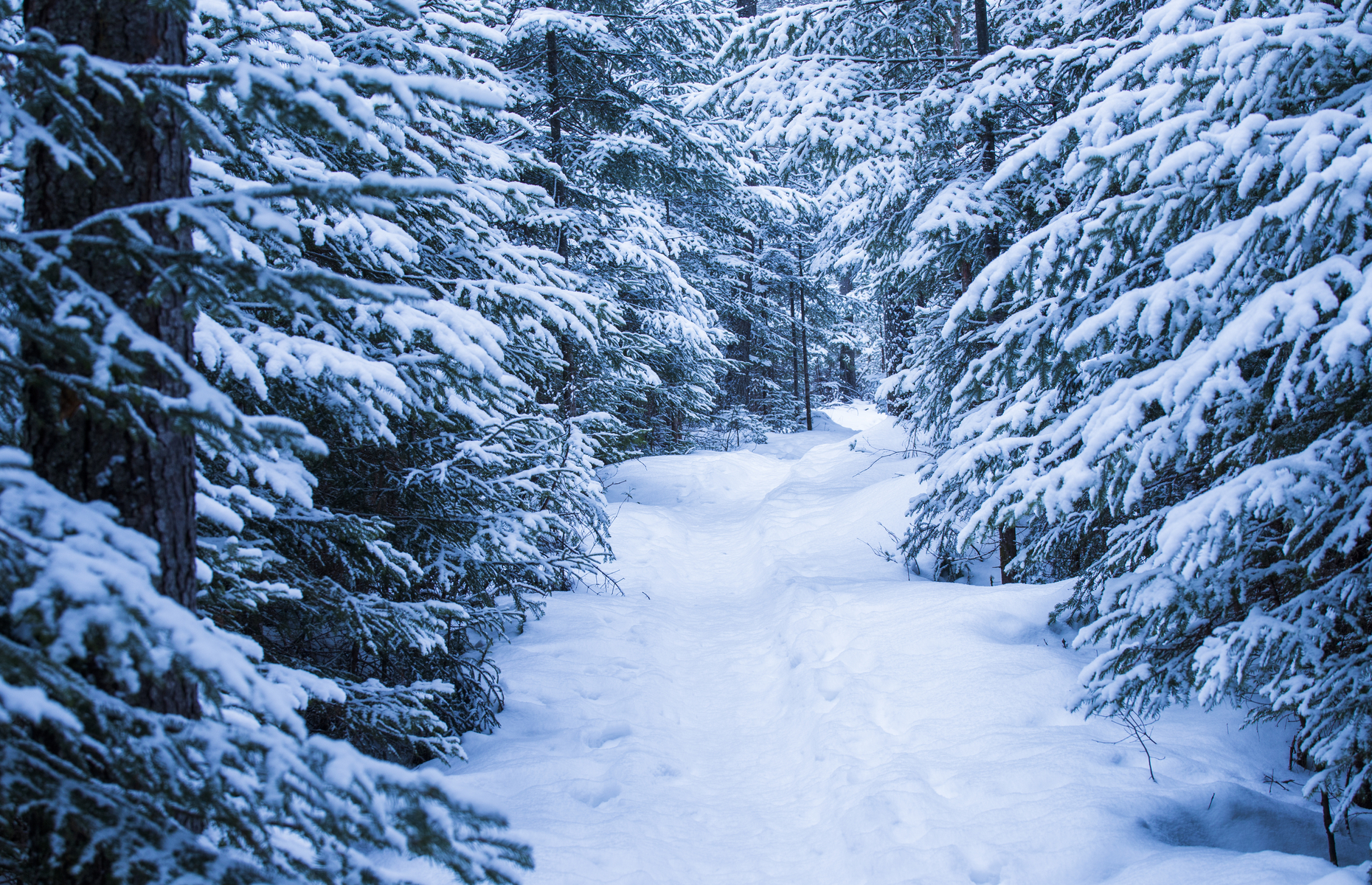 Mont Tremblant National Park (Image: Mircea Costina/Shutterstock)