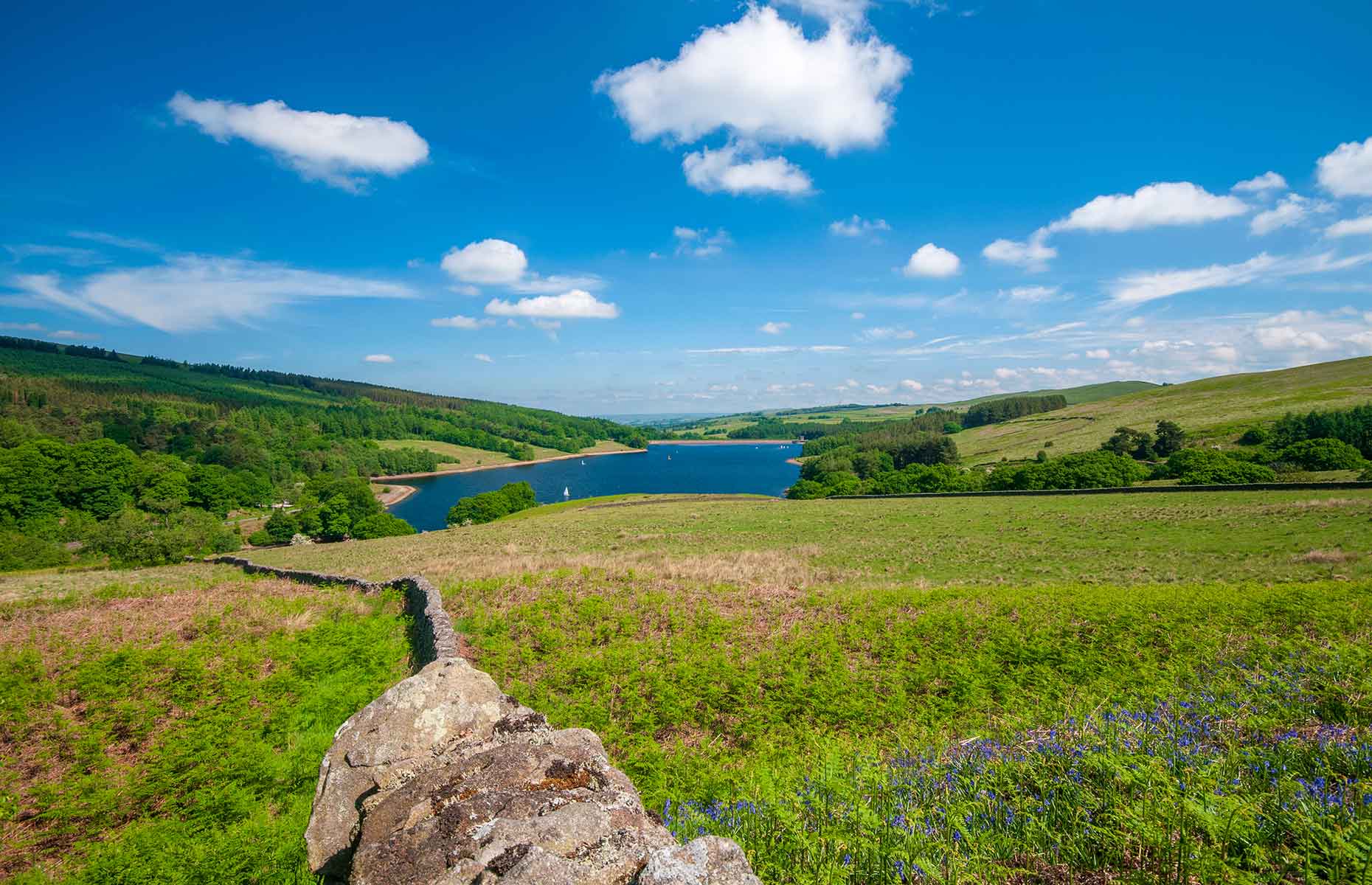 Goyt Valley (Image: Anthony Dillon/Shutterstock)