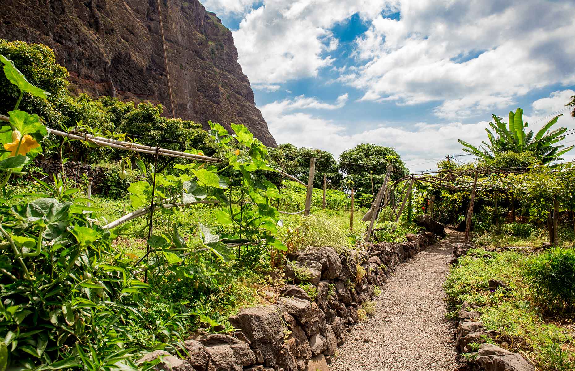 Fajã dos Padres (Image: FotoHelin/Shutterstock)