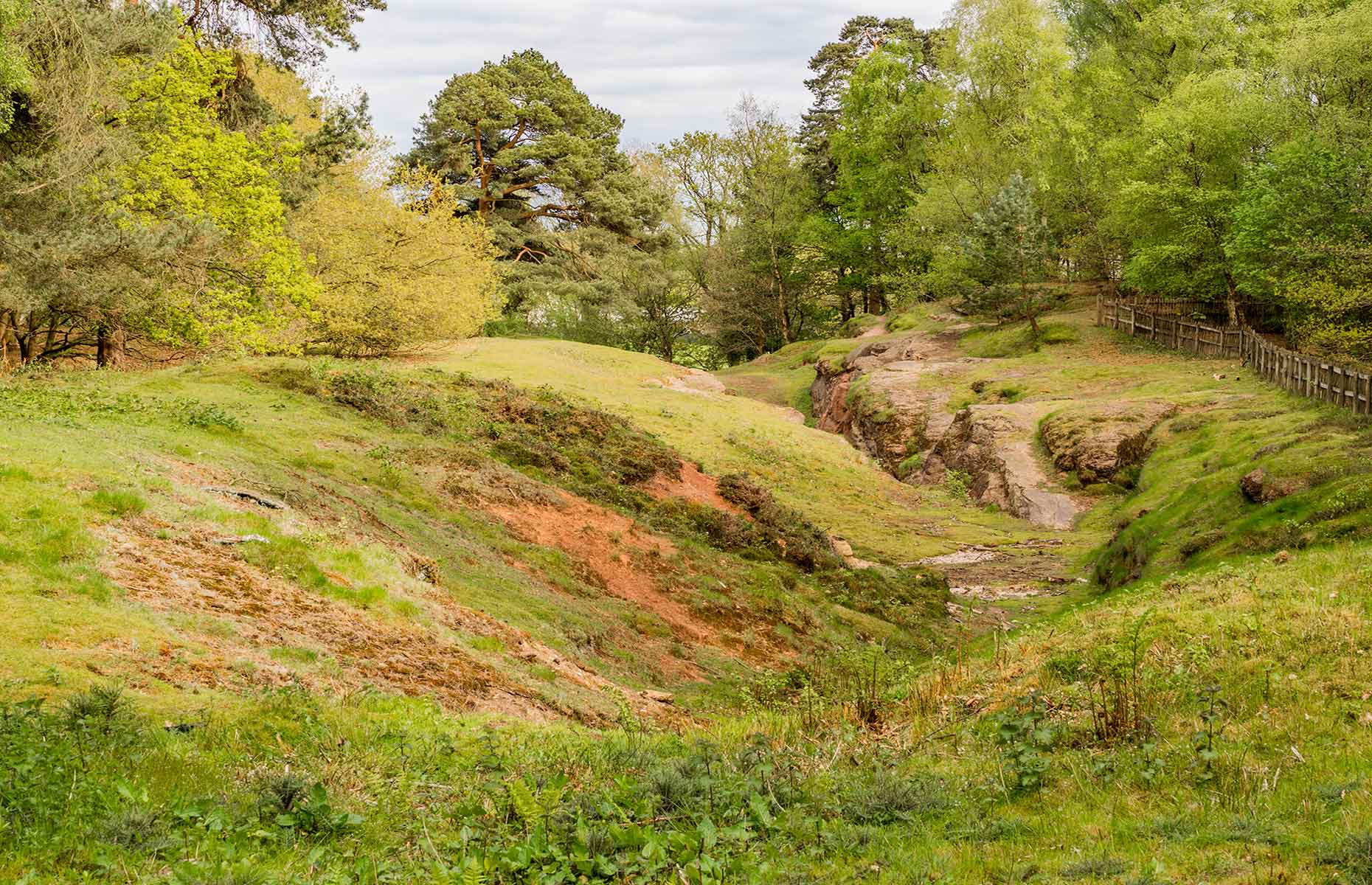 Alderly Edge (Image: Sue Burton Photography)