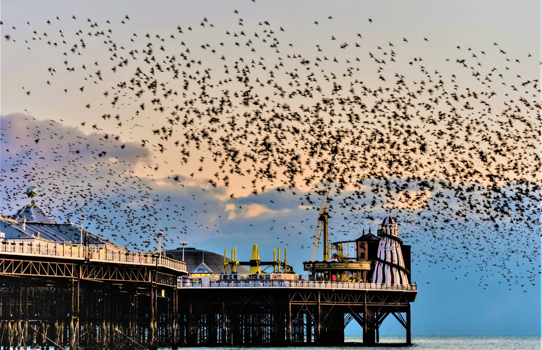 Brighton Palace Pier starling murmation (Image: Brightonpics/Shutterstock)