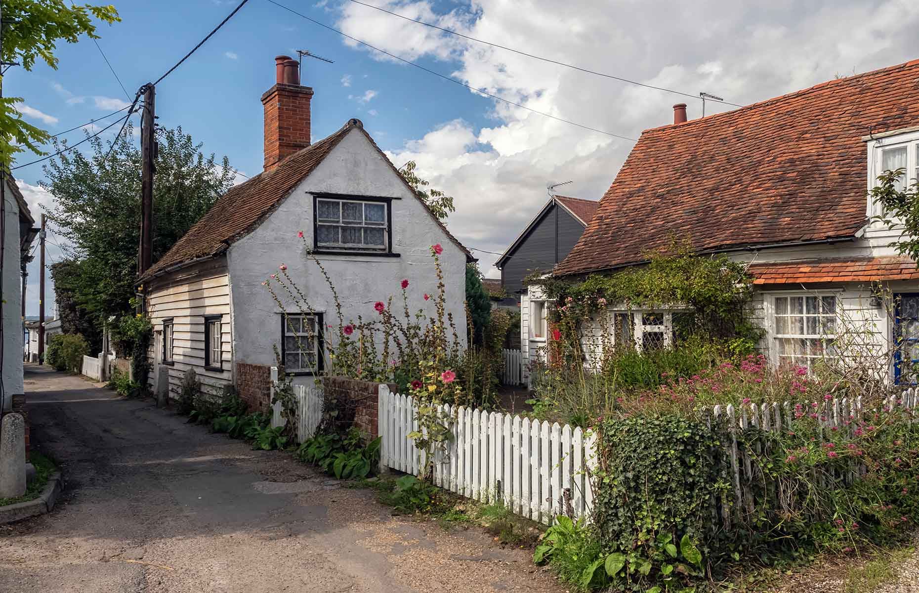 West Mersea lanes (Image: Chris Lawrence Travel/Shutterstock)