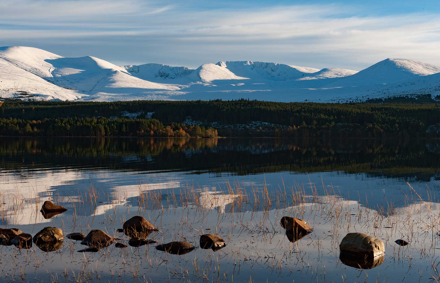 Loch Morlich in Glenmore Forest (Image: Blythe Storm/Shutterstock)