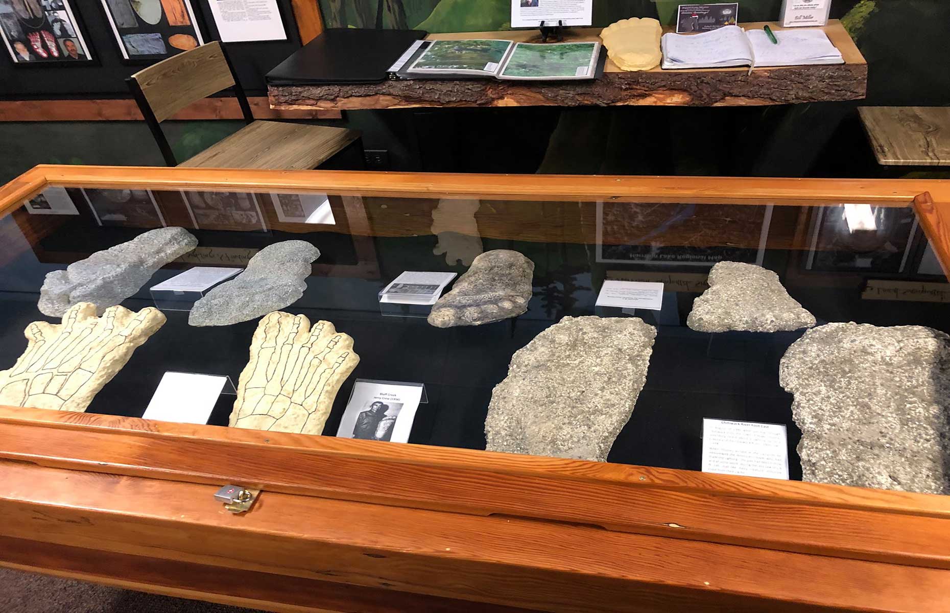 Footprints at the Sasquatch Museum (Image: Tourism Harrison/Facebook)