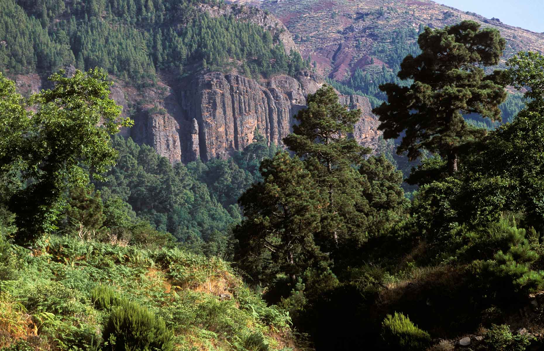 Los Órganos (Image: Siepmann / Alamy Stock Photo)