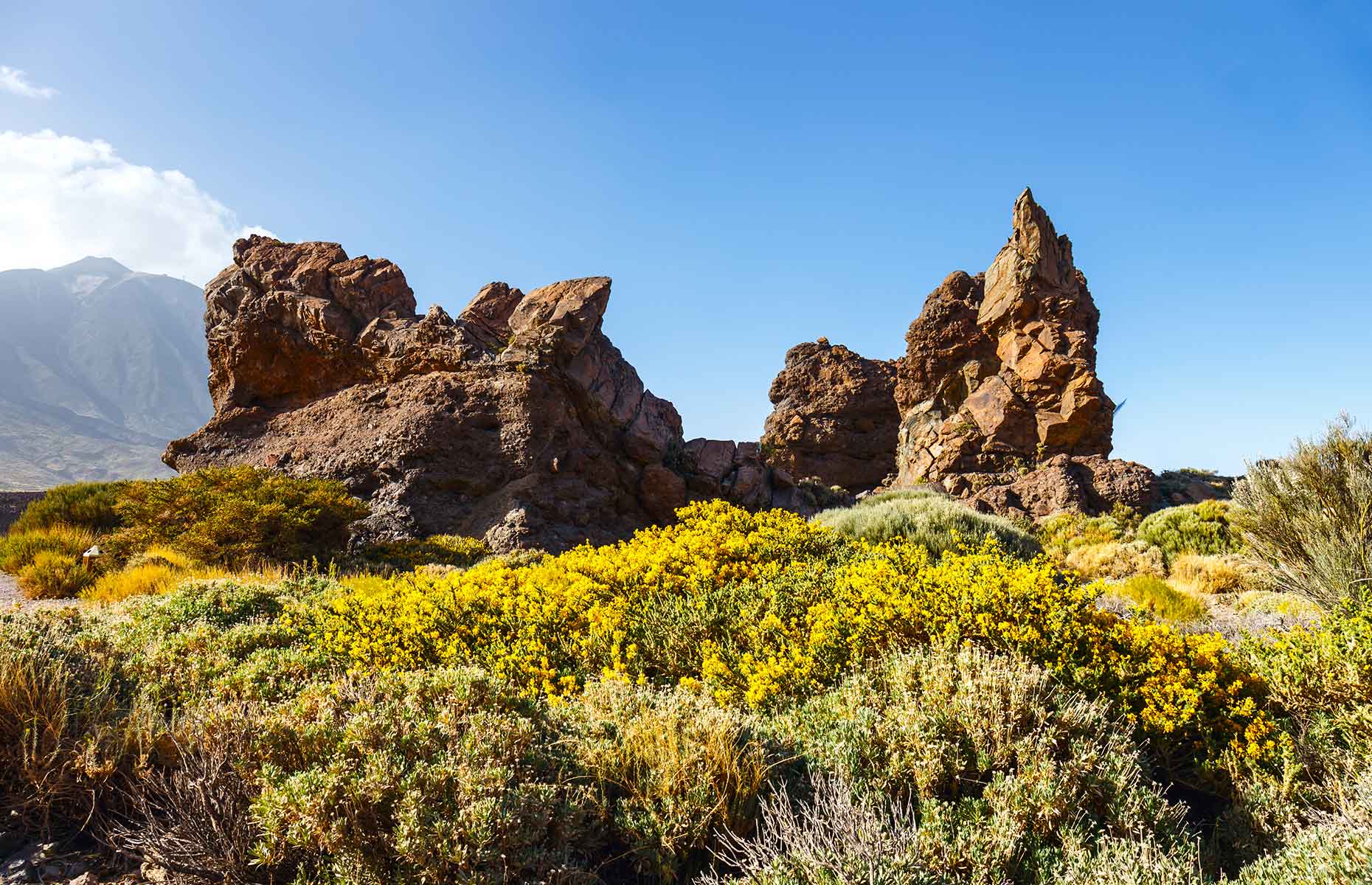 Roques de García (Image: Dziewul/Shutterstock)