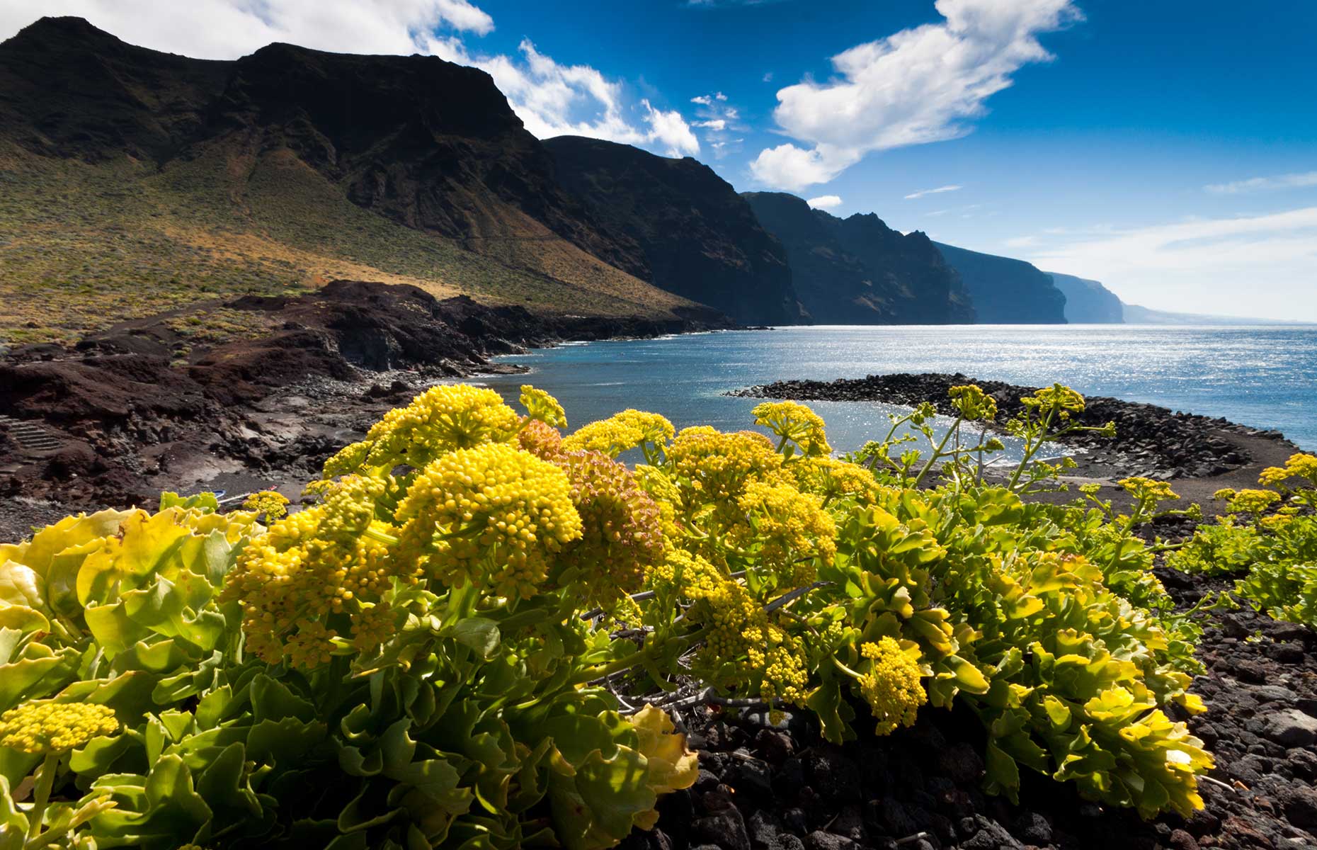 Teno Rural Park (Image: robertonencini/Shutterstock)