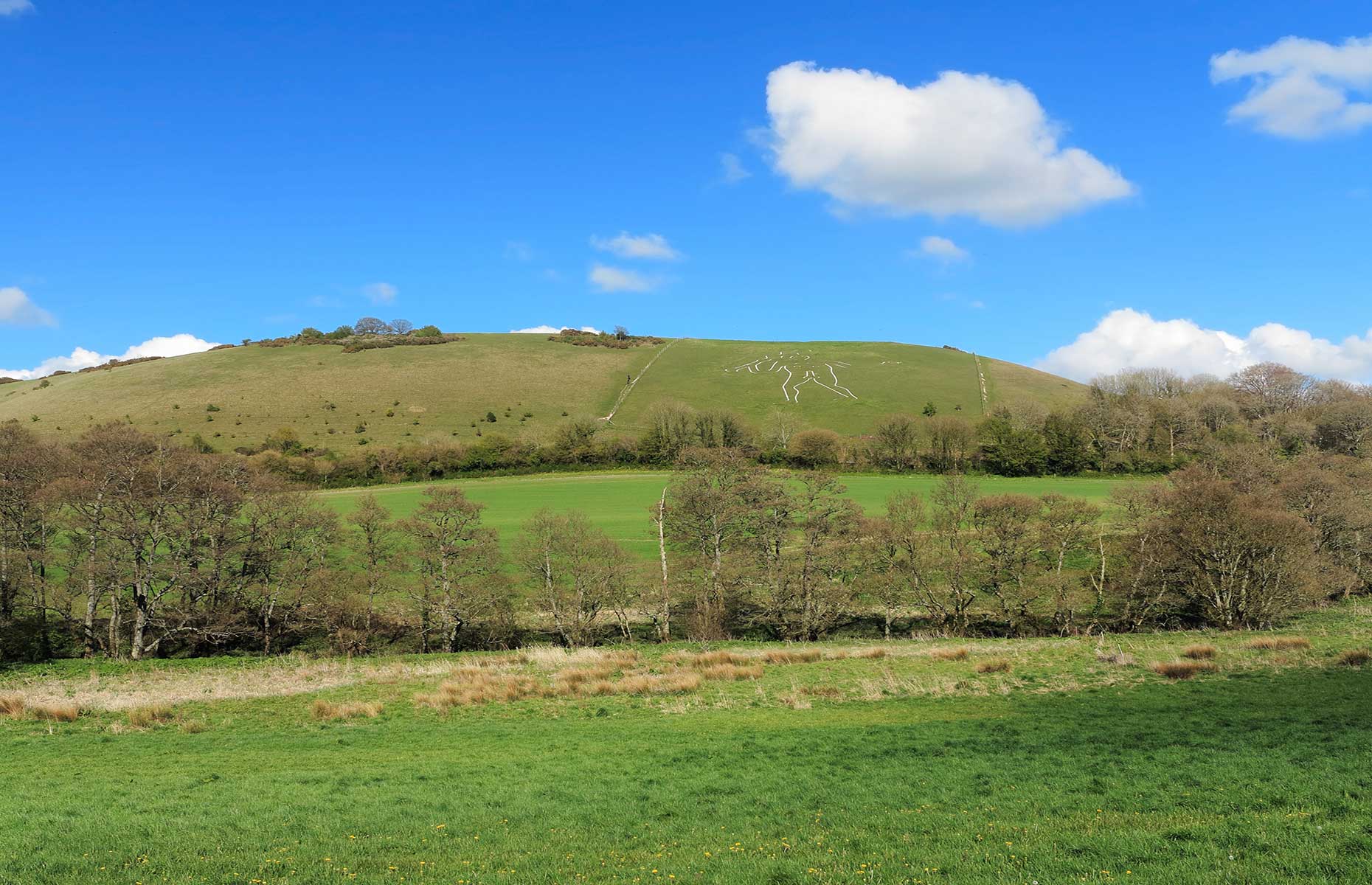 Dorset AONB (Image: Chrislofotos/Shutterstock)