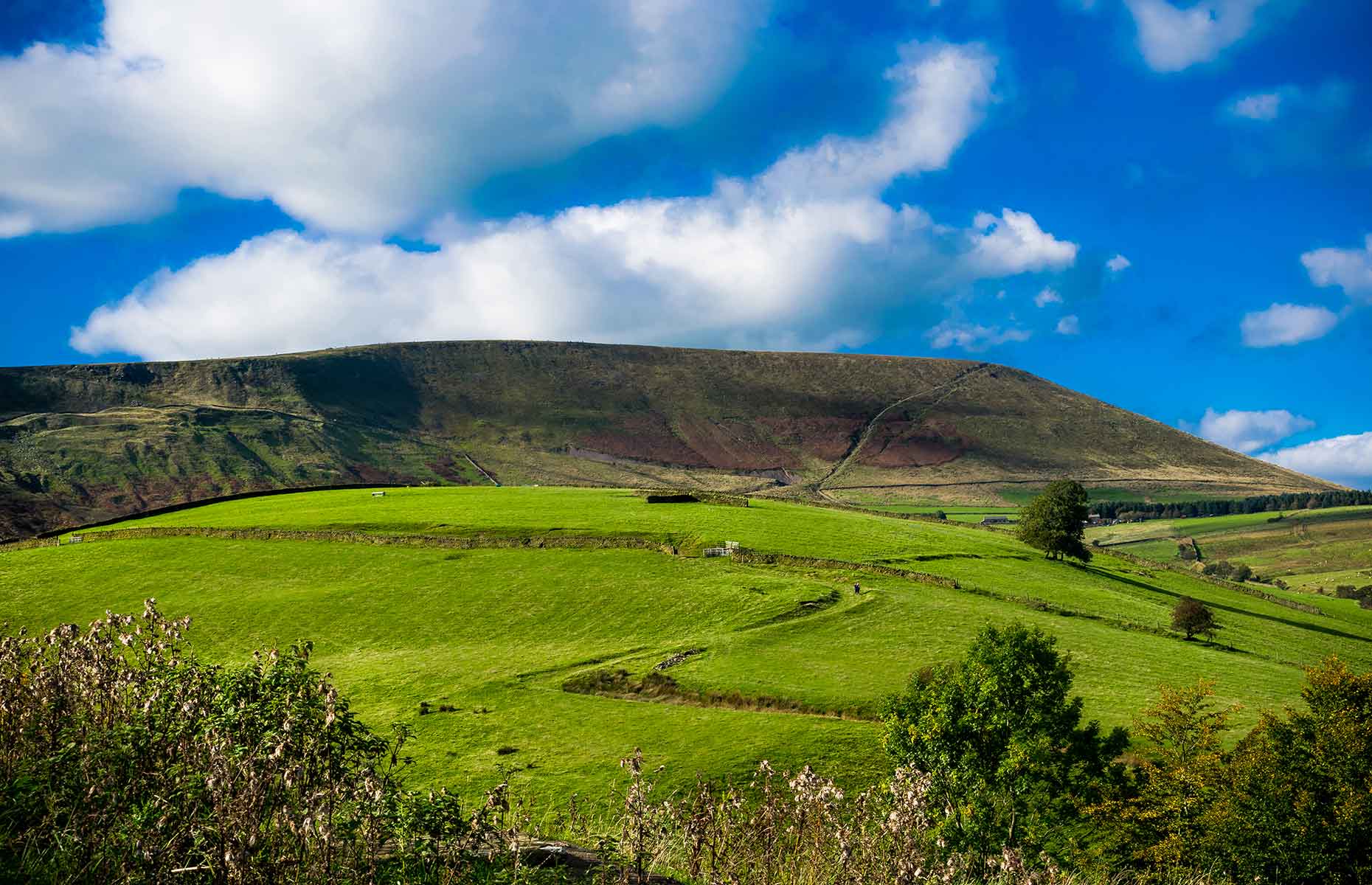 Forest of Bowland (Image: Lukasz Puch/Shutterstock)