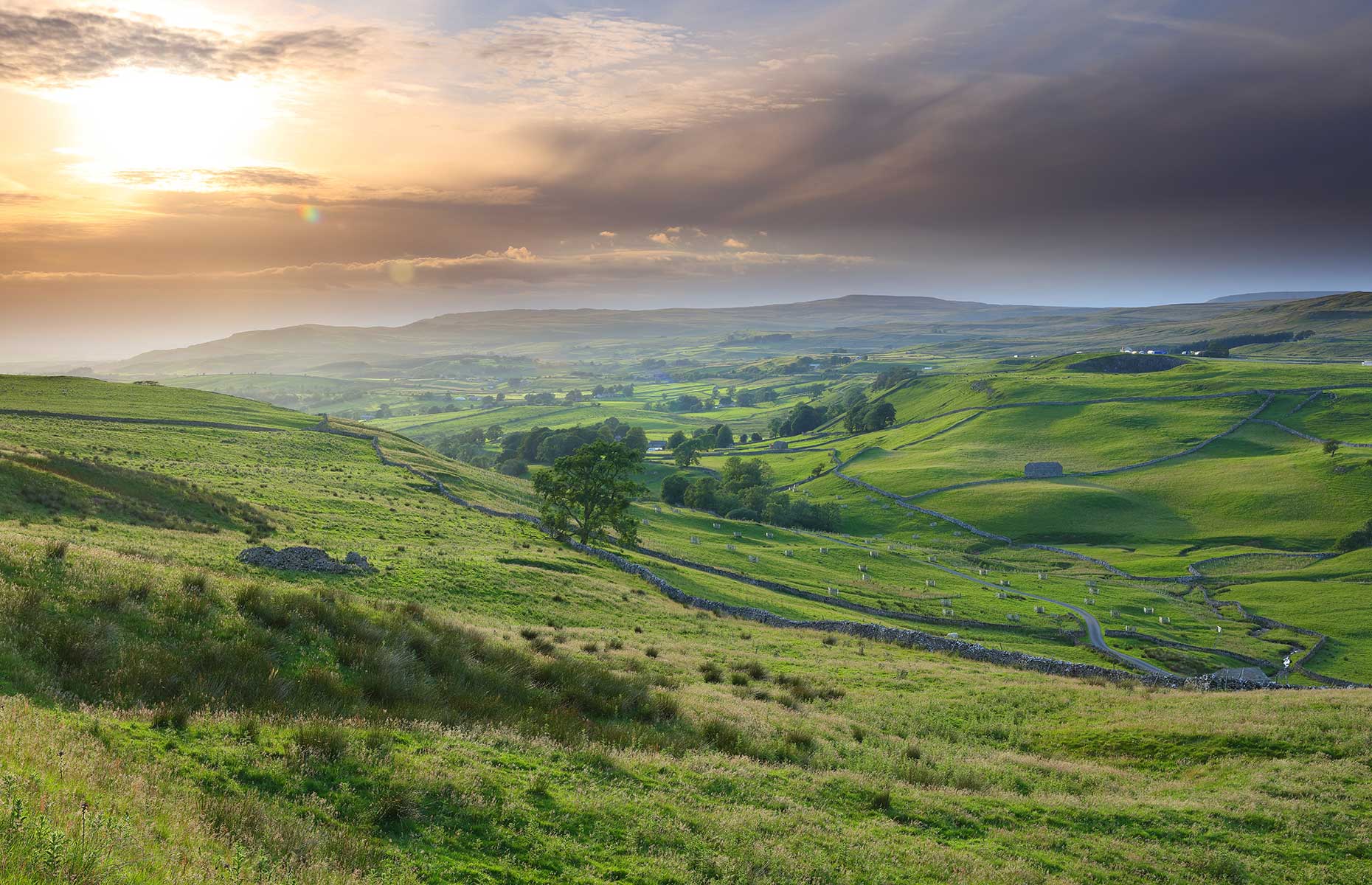 North Pennines (Image: Colin Ward/Shutterstock)