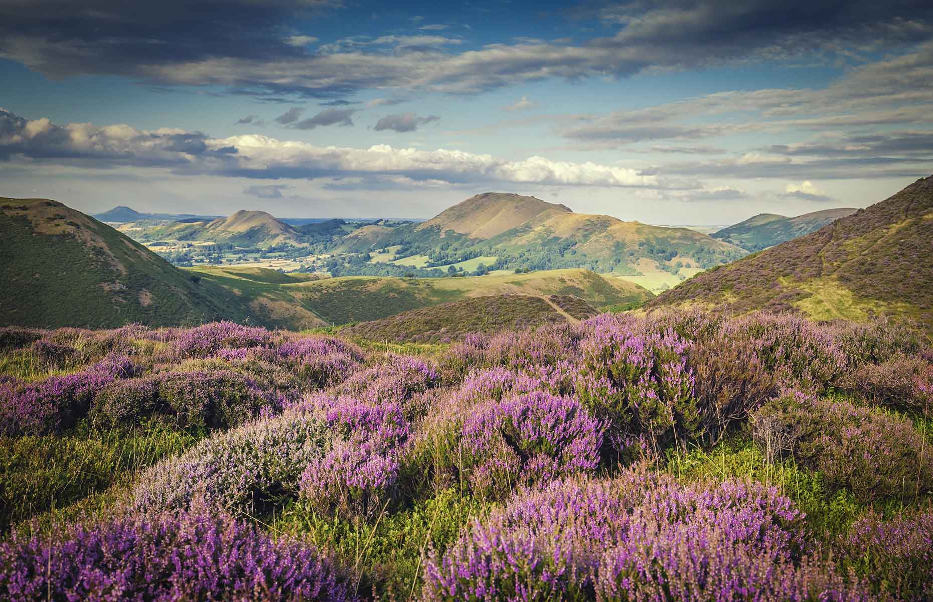 Shropshire Hills (Image: EddieCloud/Shutterstock)