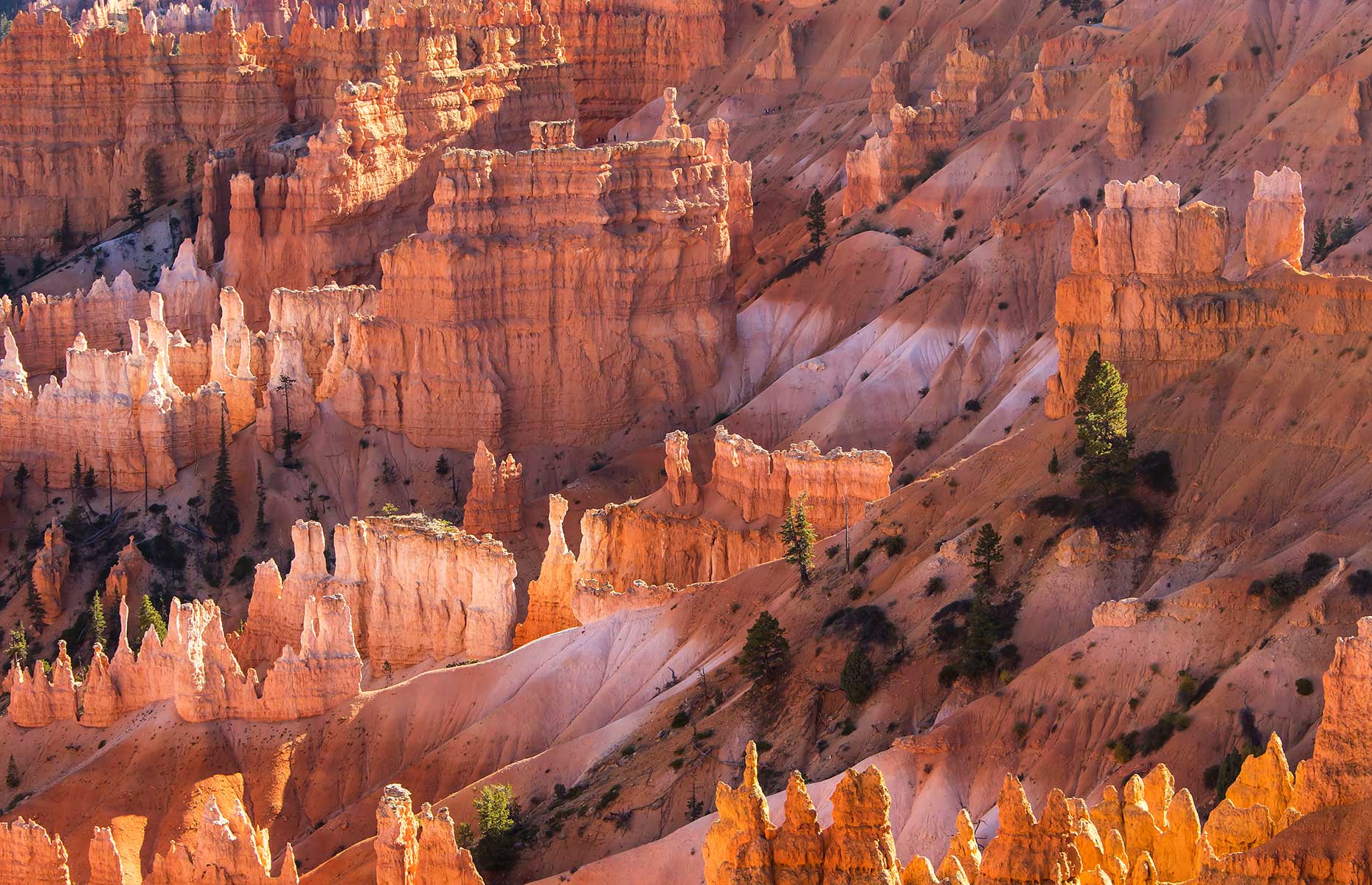 Bryce Canyon National Park (Image: Karel Bock/Shutterstock)
