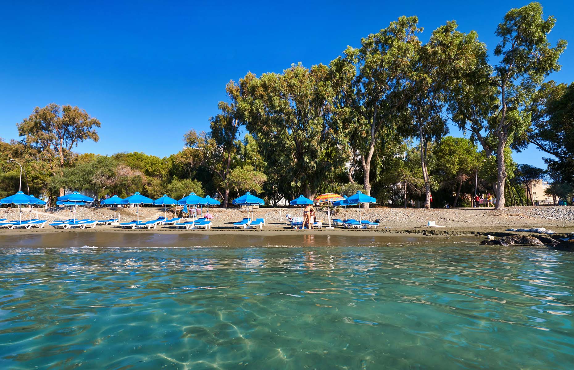 Dasoudi Beach (Image: Vladimir Zhoga/Shutterstock)