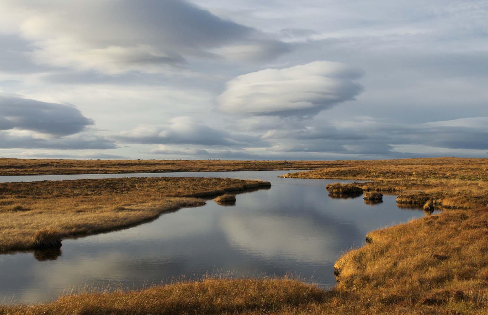 Blanket bog near Forsinard on the Far North Line (Image: Shzphoto/Shutterstock)