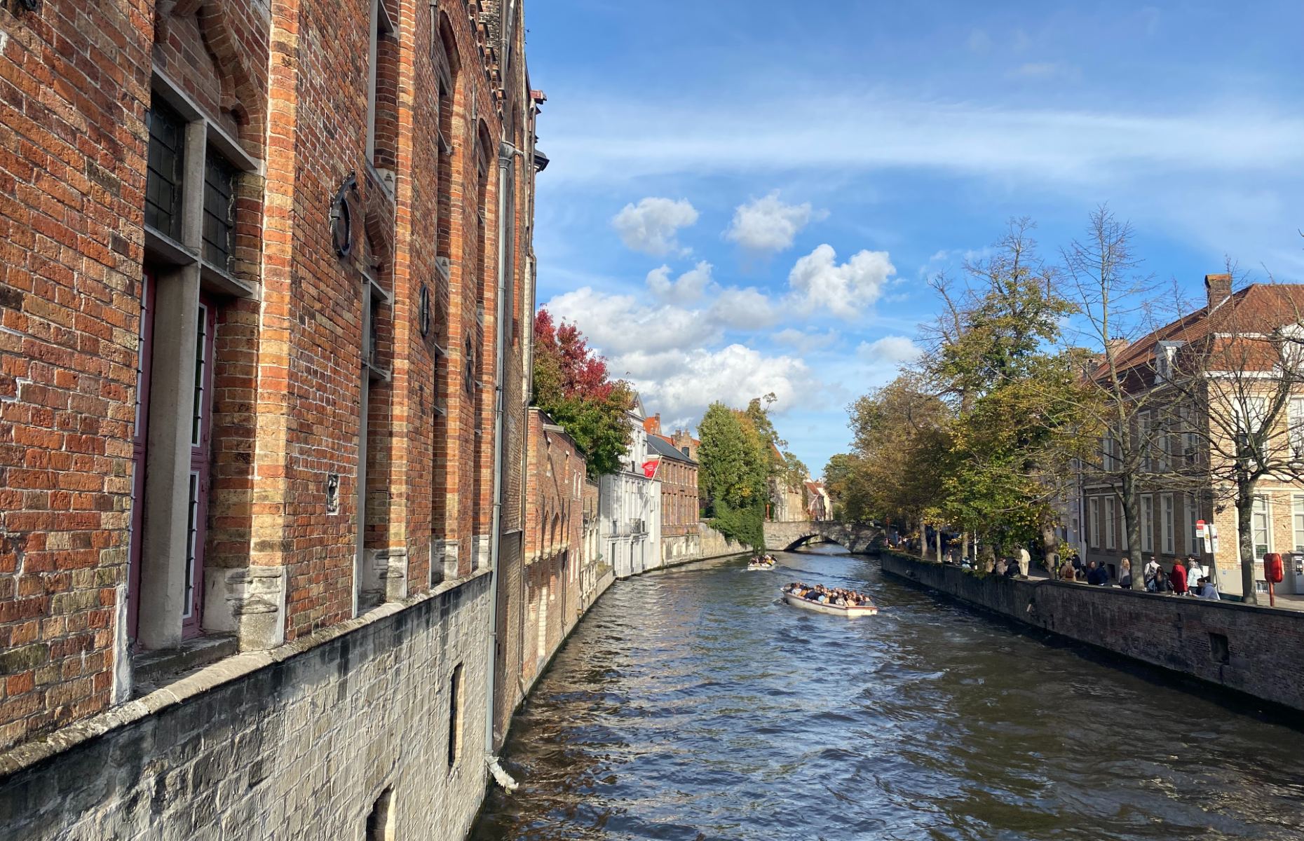Bruges canal boat (Rachel Truman)