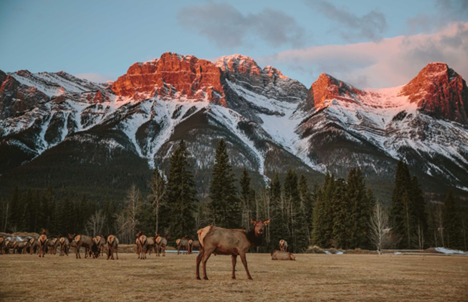 Alberta National Parks (Image: @mikeseehagel )