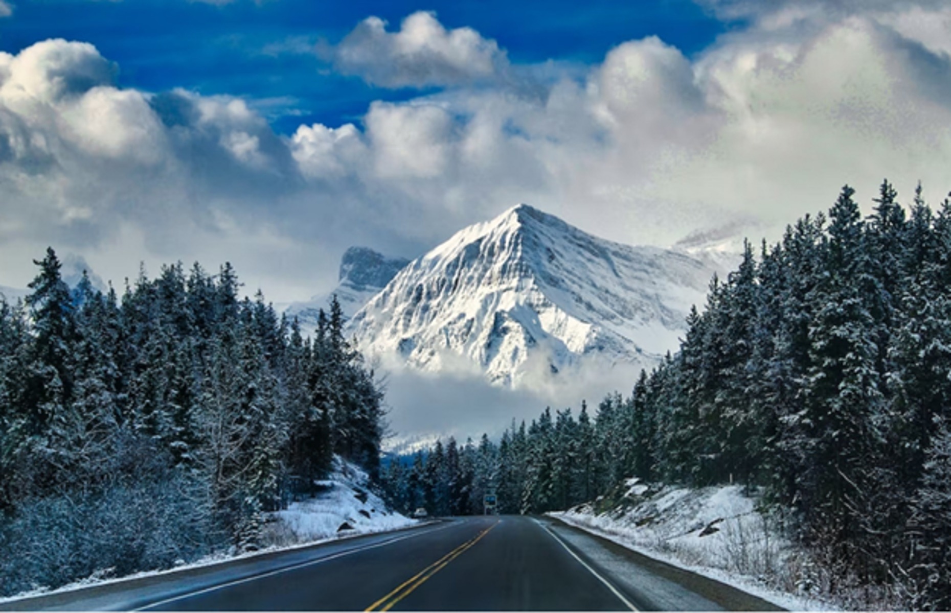 Alberta National Park (Image: Photo by Floris Siegers on Unsplash)