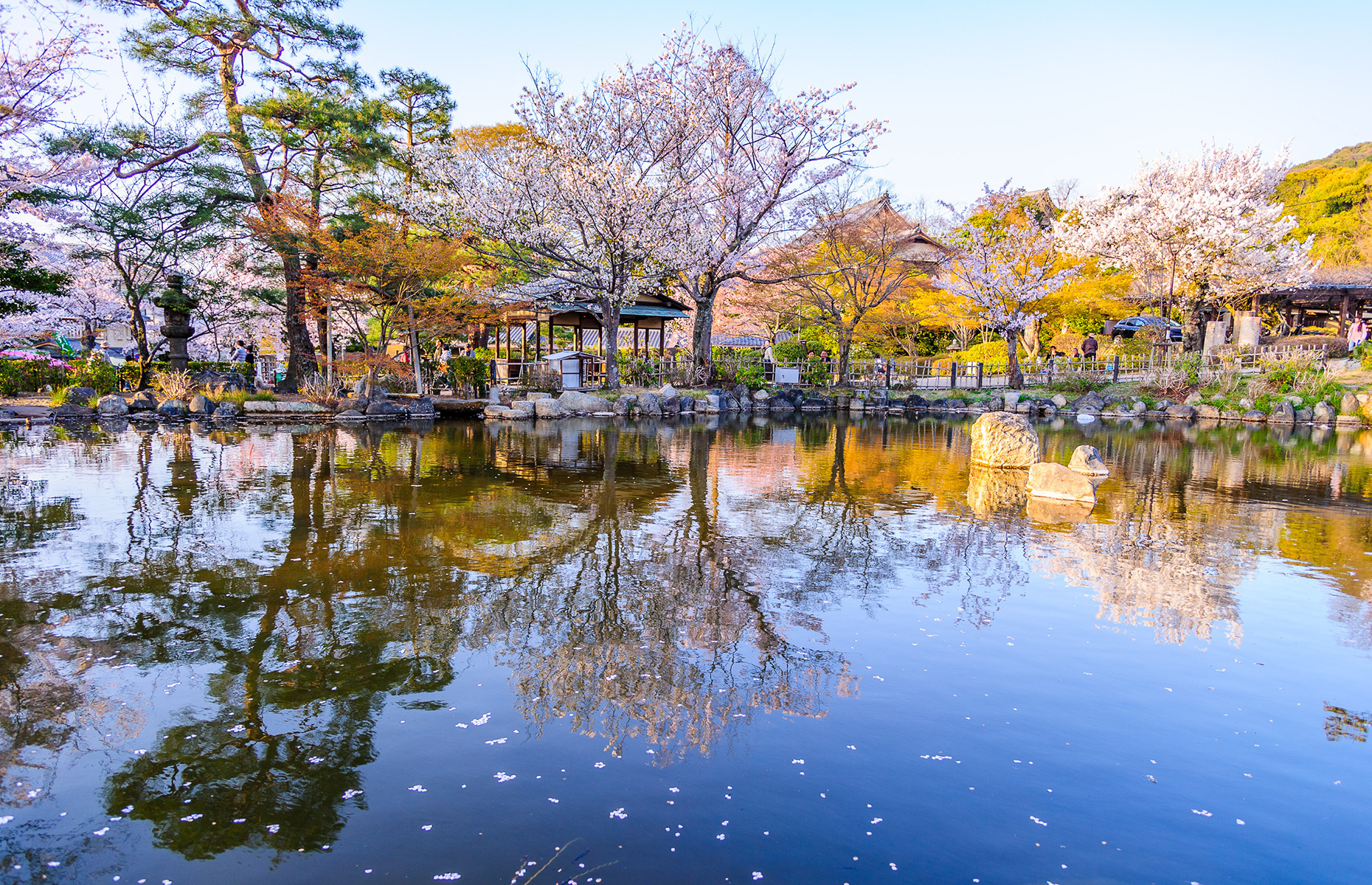 Maruyama Park, Kyoto, Japan. (Image: Saknarong Tayaset/Shutterstock)