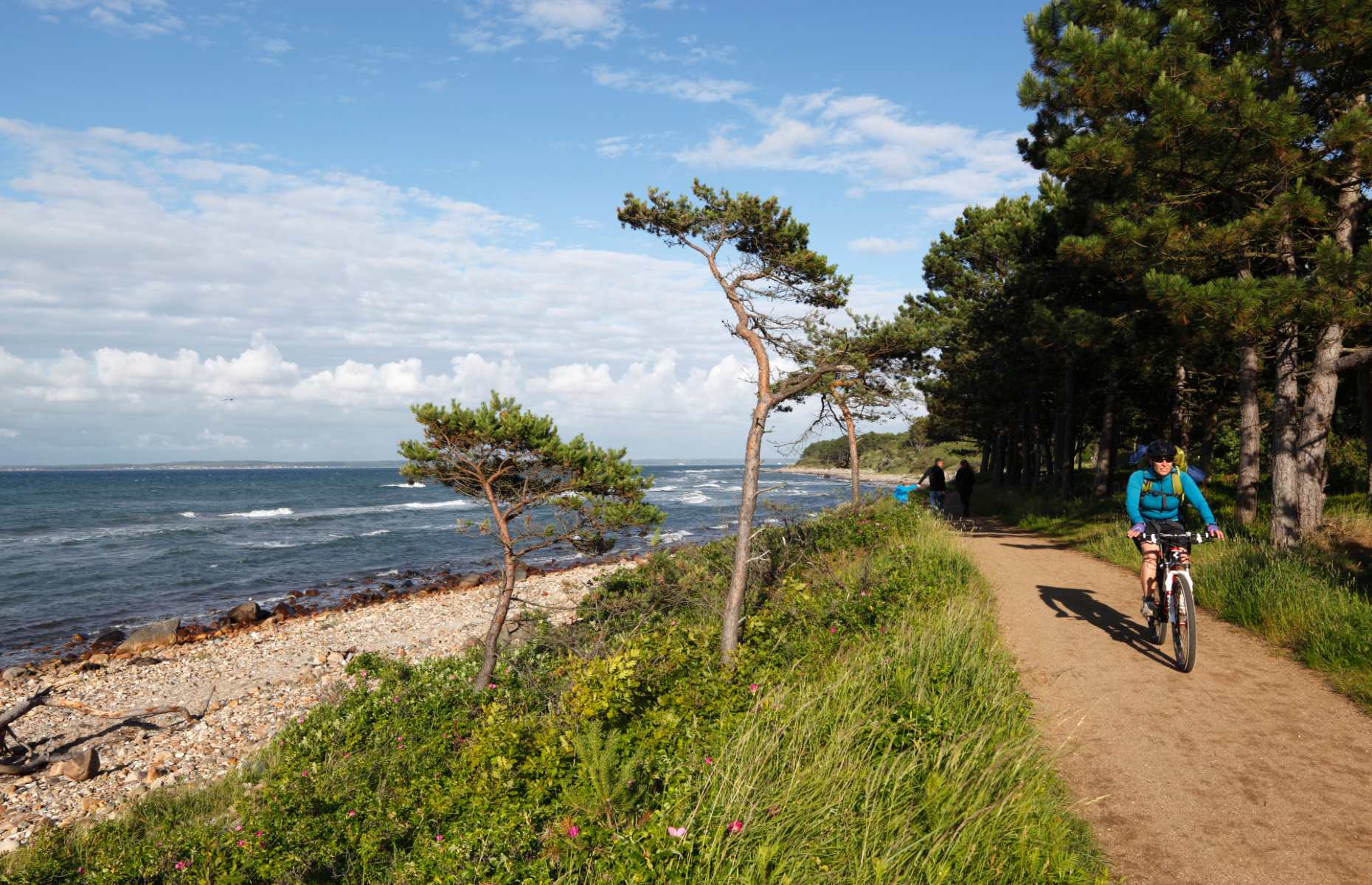 North Coast Cycle Route 47, Hornbaek (Image: robertharding / Alamy Stock Photo)