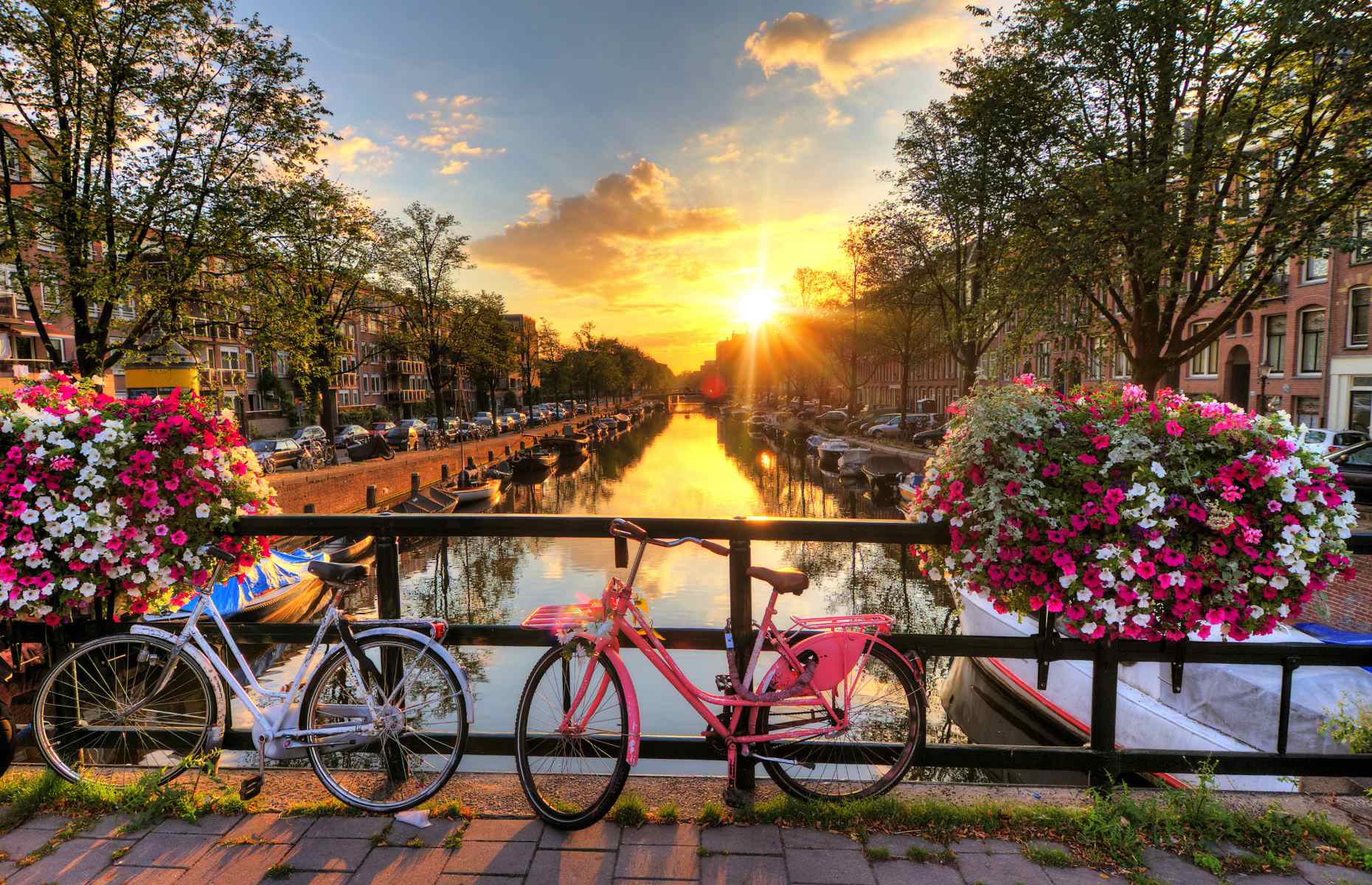 Sunrise in Amsterdam, The Netherlands (Dennis van de Water/Shutterstock)