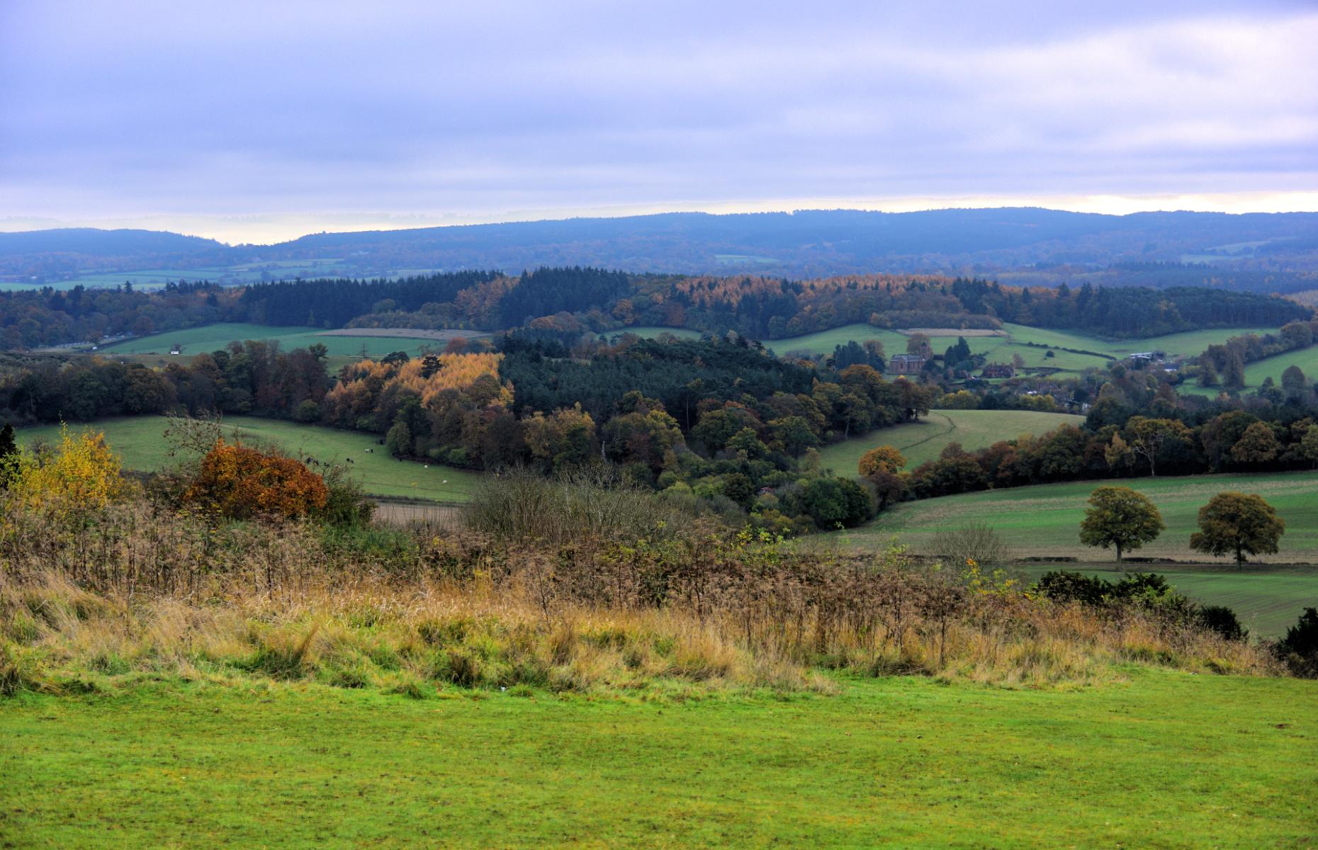 View from Newlands Corner, Guildford (Image: Alan Whitehead/Shutterstock)