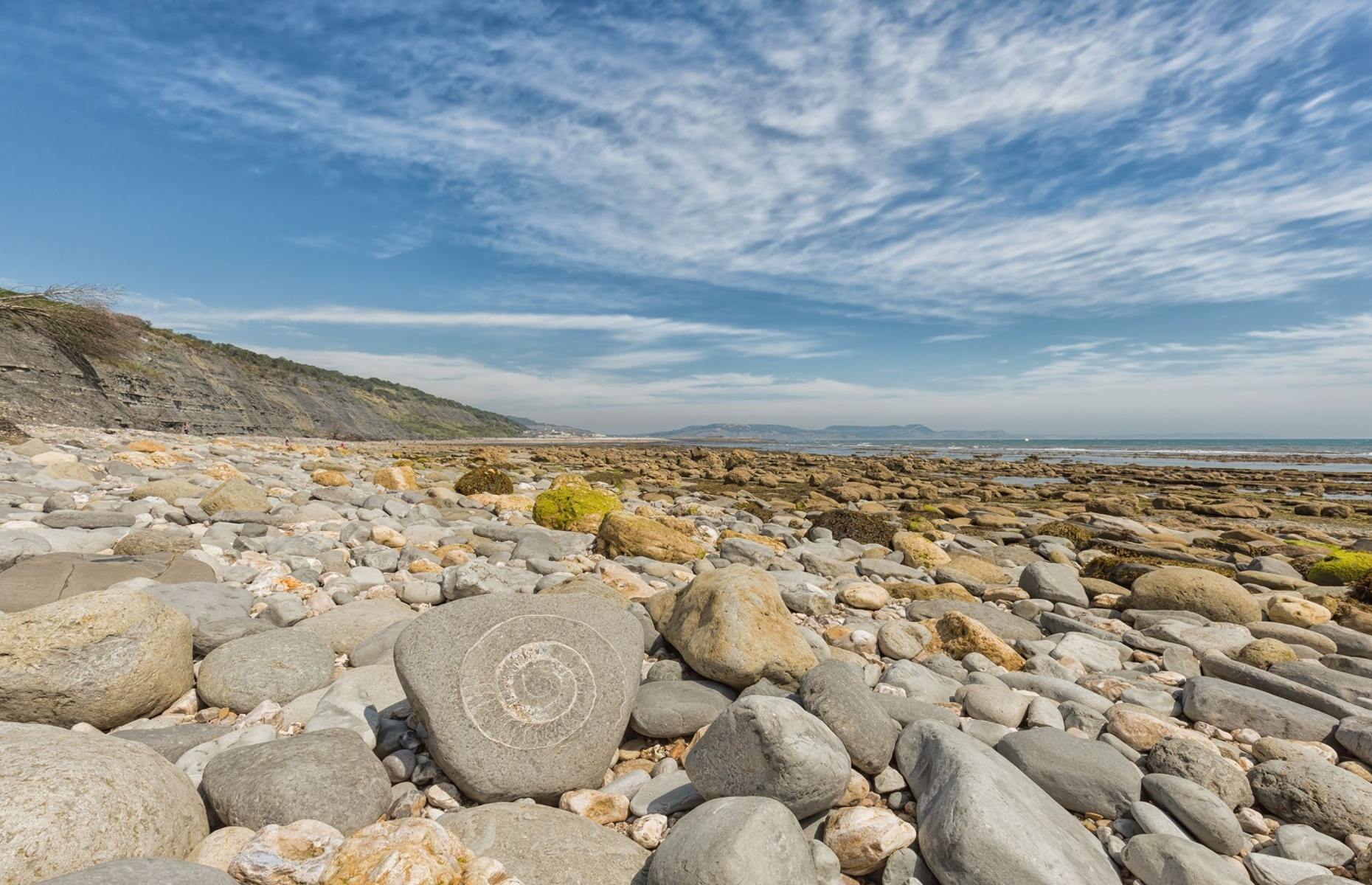 Ammonite Pavement Lyme Regis Mark Godden/Shutterstock