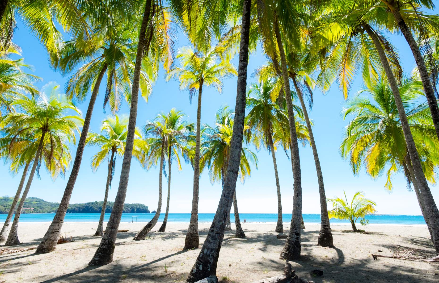 Costa Rica Beach (Image: Thomas Ramsauer/Shutterstock)