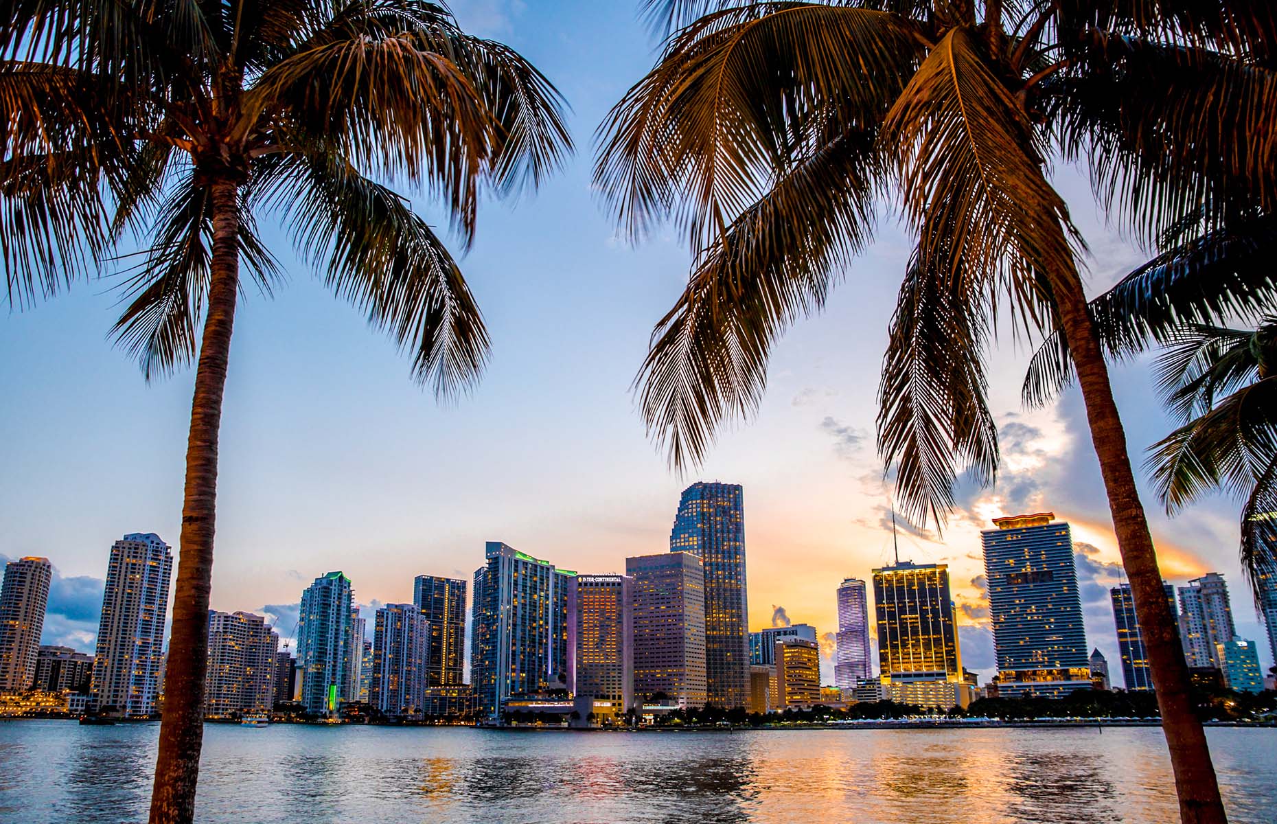 Downtown Miami skyline (Image: littlenySTOCK/Shutterstock)