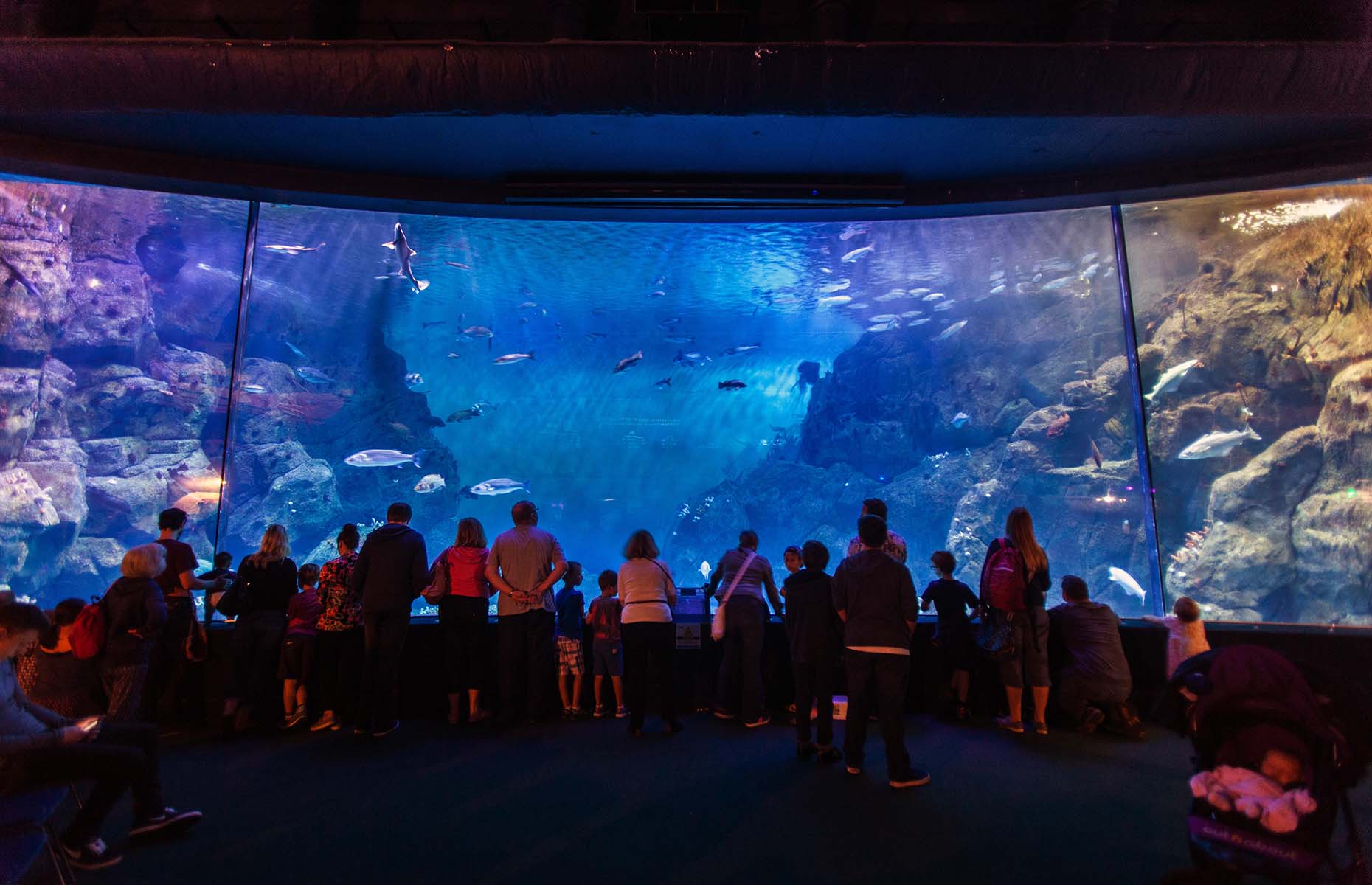 6 reasons to visit Plymouth