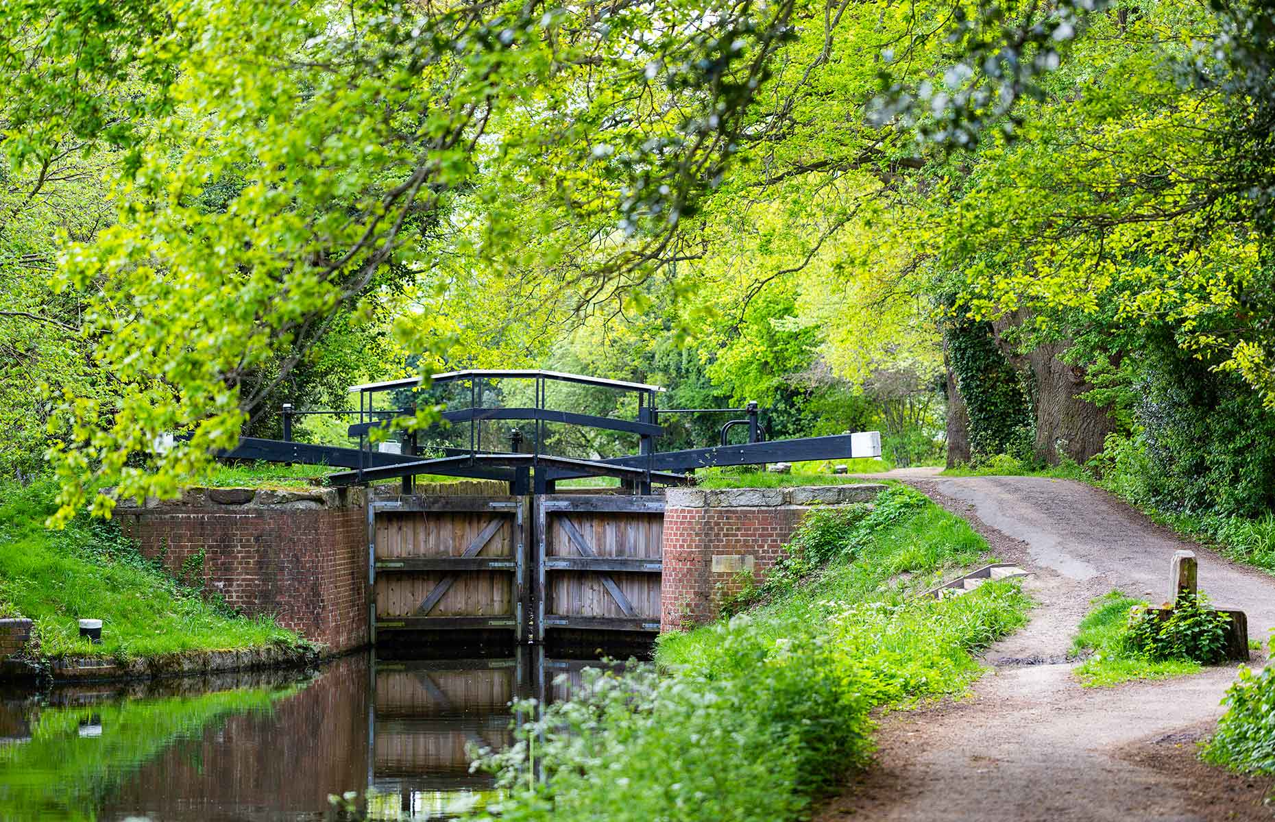 Scenic park in Woking, Surrey (Image credit: Tommy Lee Walker/Shutterstock)
