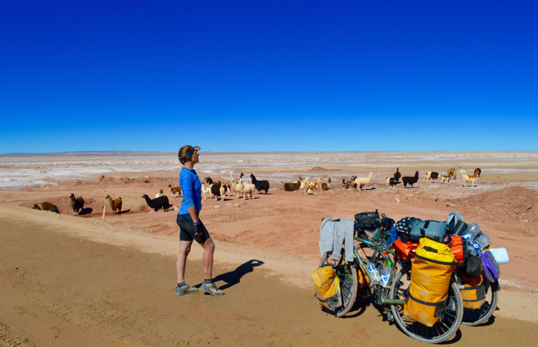 Laura Bingham cycling through South America (Image: Copyright Laura Bingham)