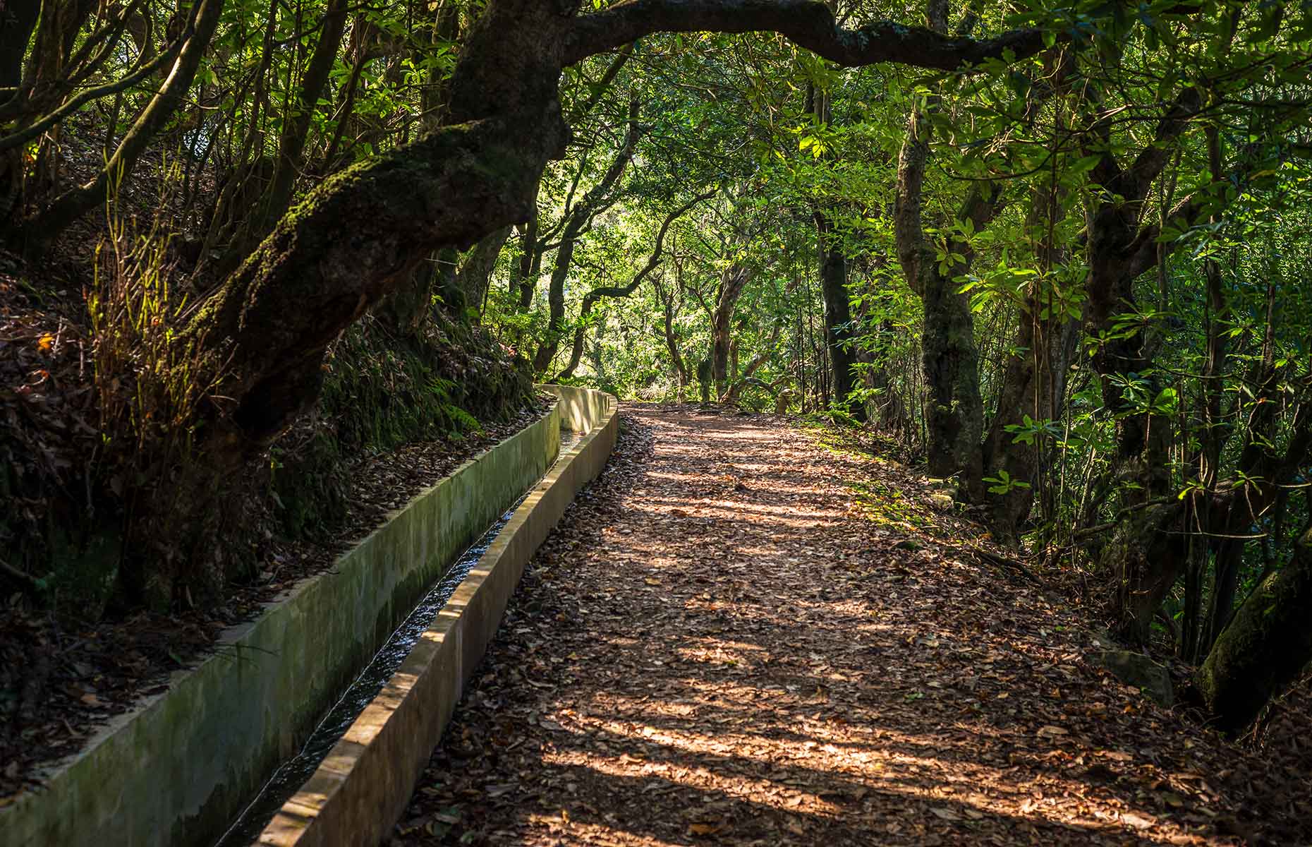 Levada do Furado (Image: pp1/Shutterstock)