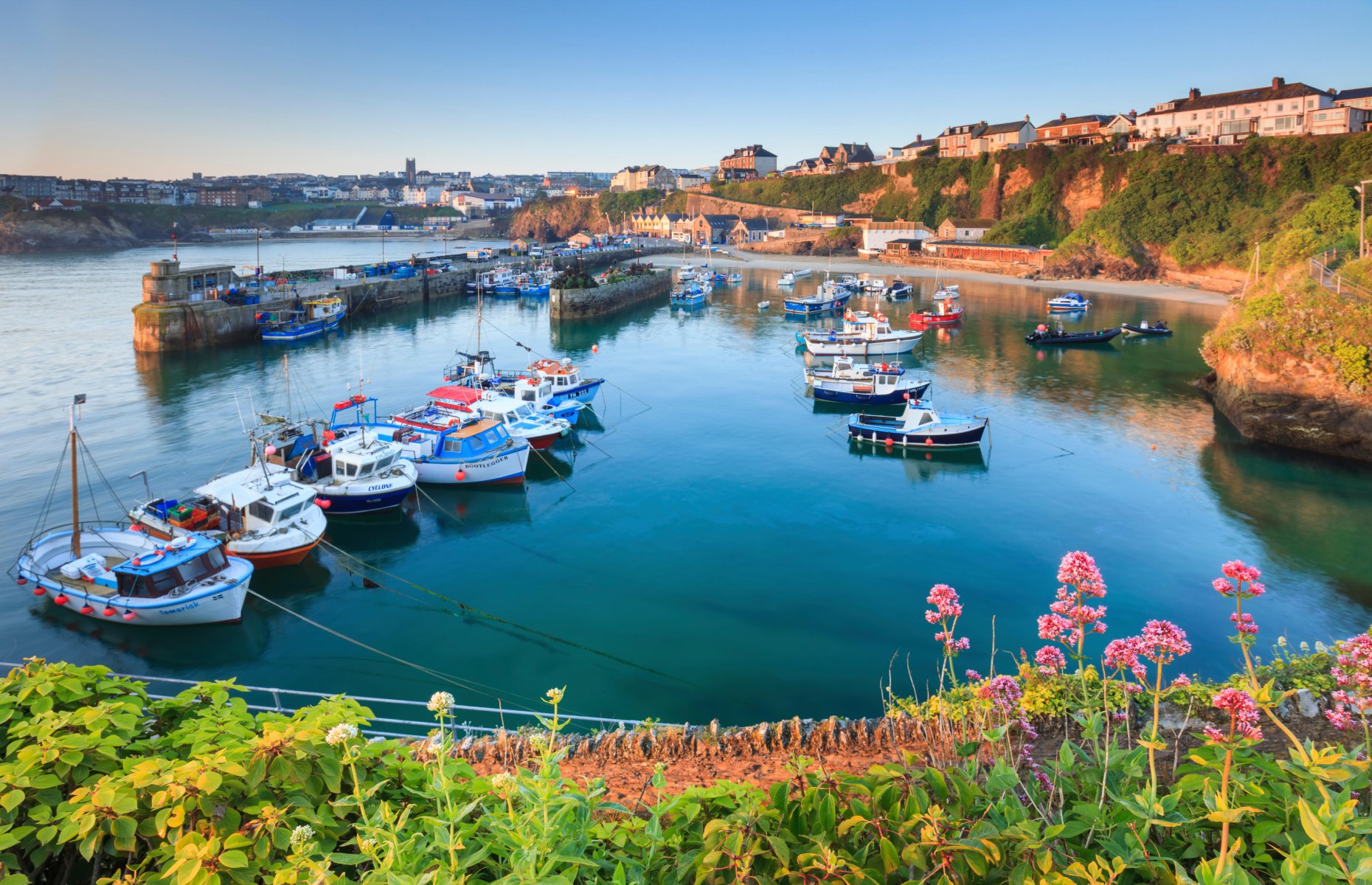 Newquay Harbour (Image Credits:  Andrew Ray / Alamy Stock Photo)