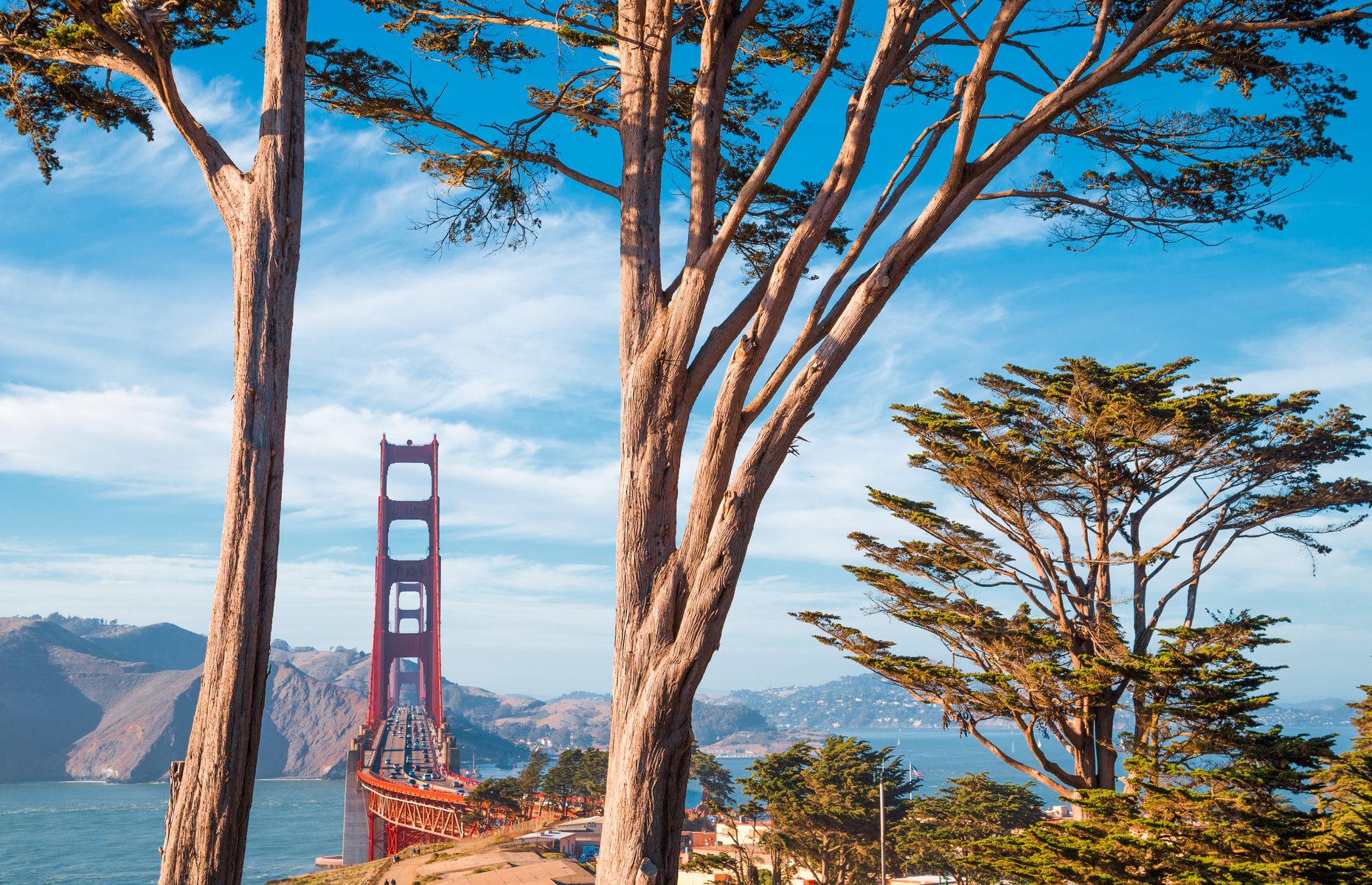 Presidio Park San Francisco with bridge (Image: Canadastock/Shutterstock)