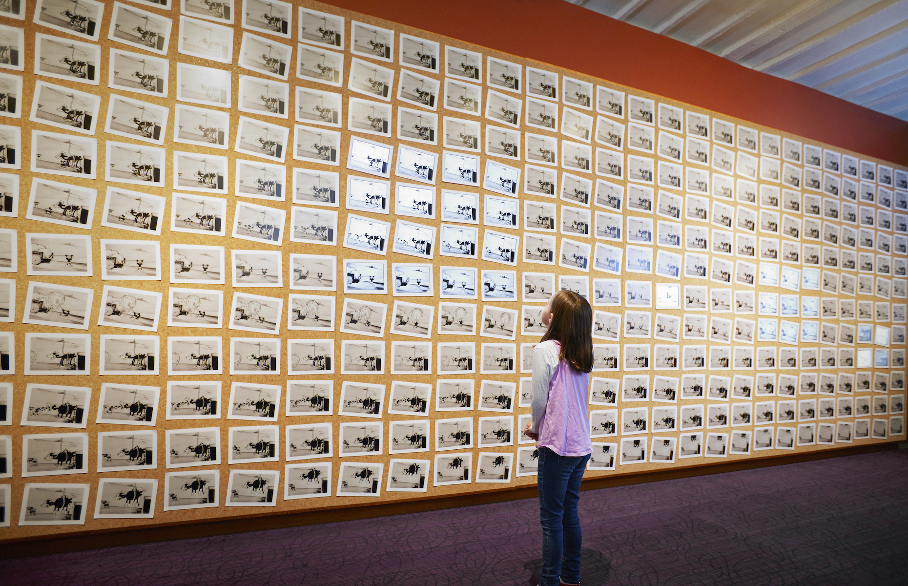 Girl looking at pictures Walt Disney Museum (Image: Walt Disney Museum)