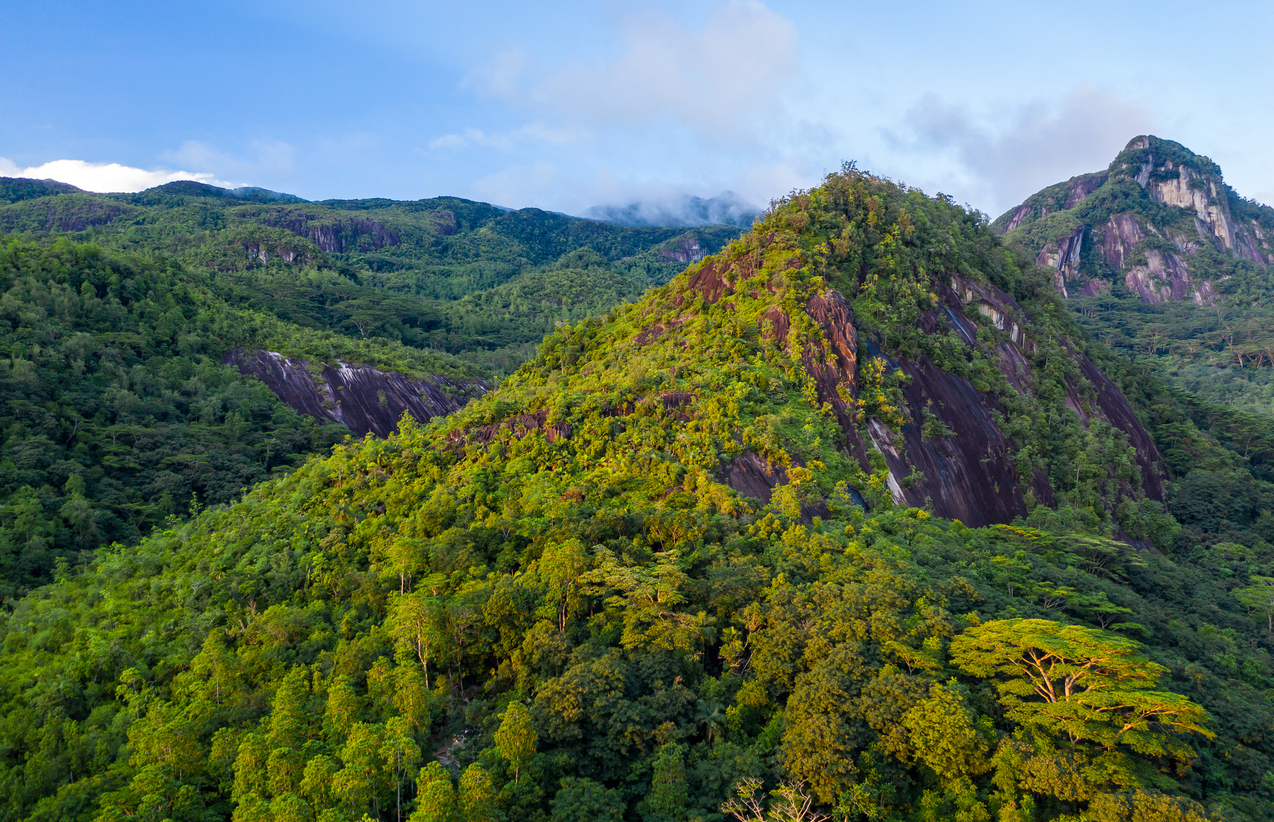 Lush mountainous interior Seychelles (Image: Aleksandra Tokarz/ Shutterstock)