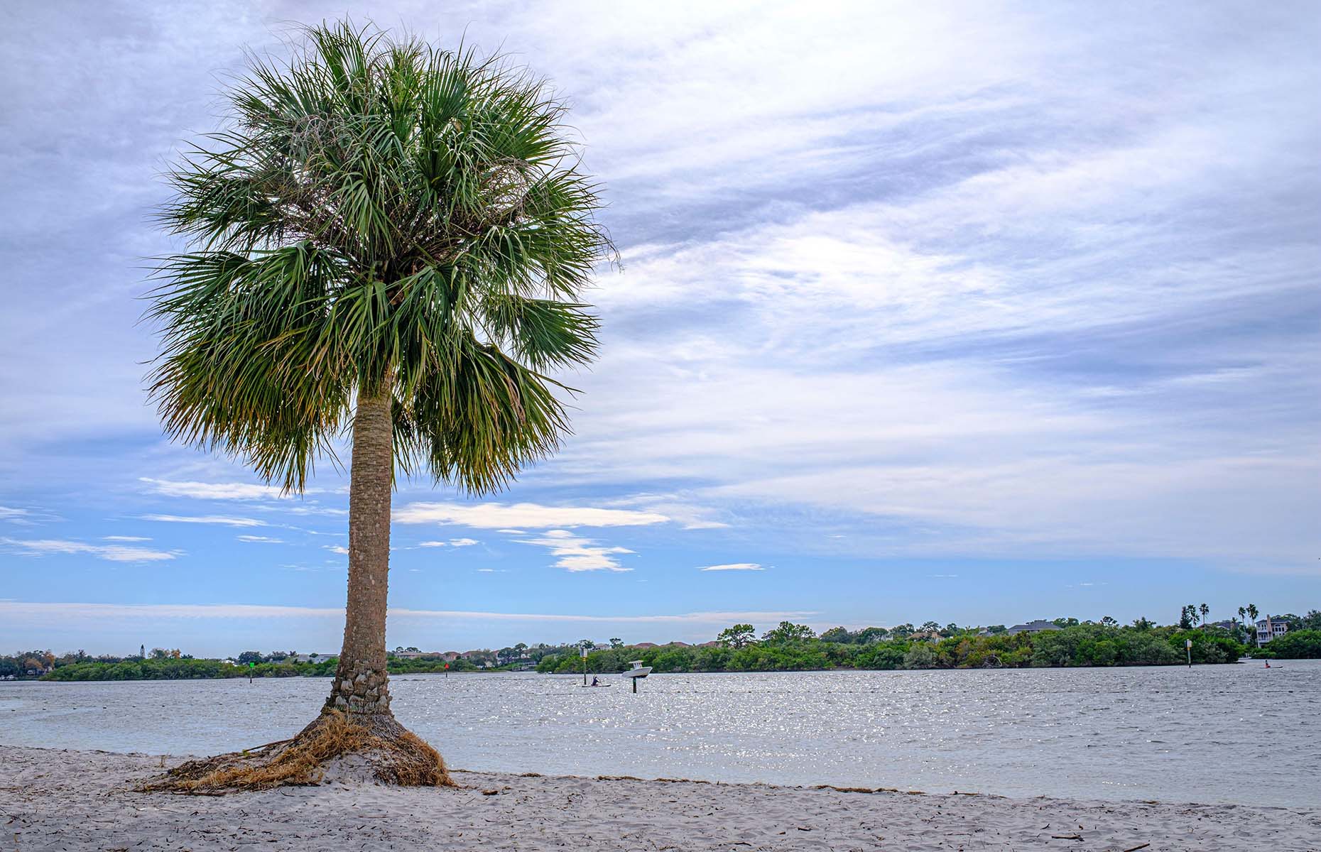 Florida's Sports Coast (Image: Kurt Fehlhauer/Alamy Stock Photo)