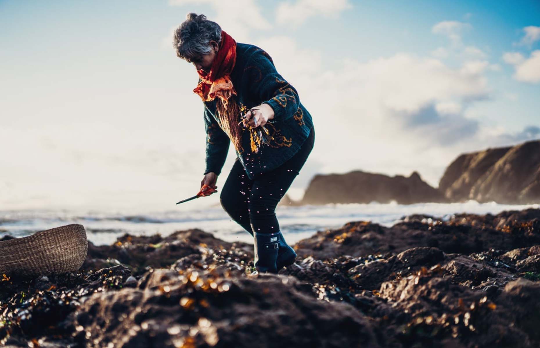 Coastal foraging on Ireland's Copper Coast (Image: The Sea Gardener/Facebook)