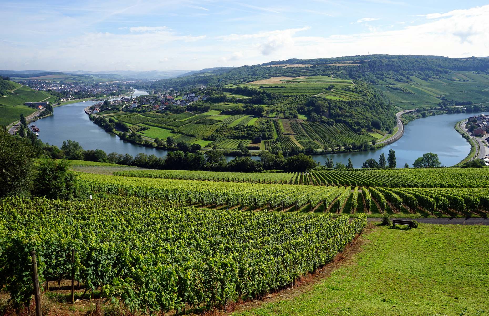 Moselle vineyards in Luxembourg (Image: Valery Shanin/Shutterstock)