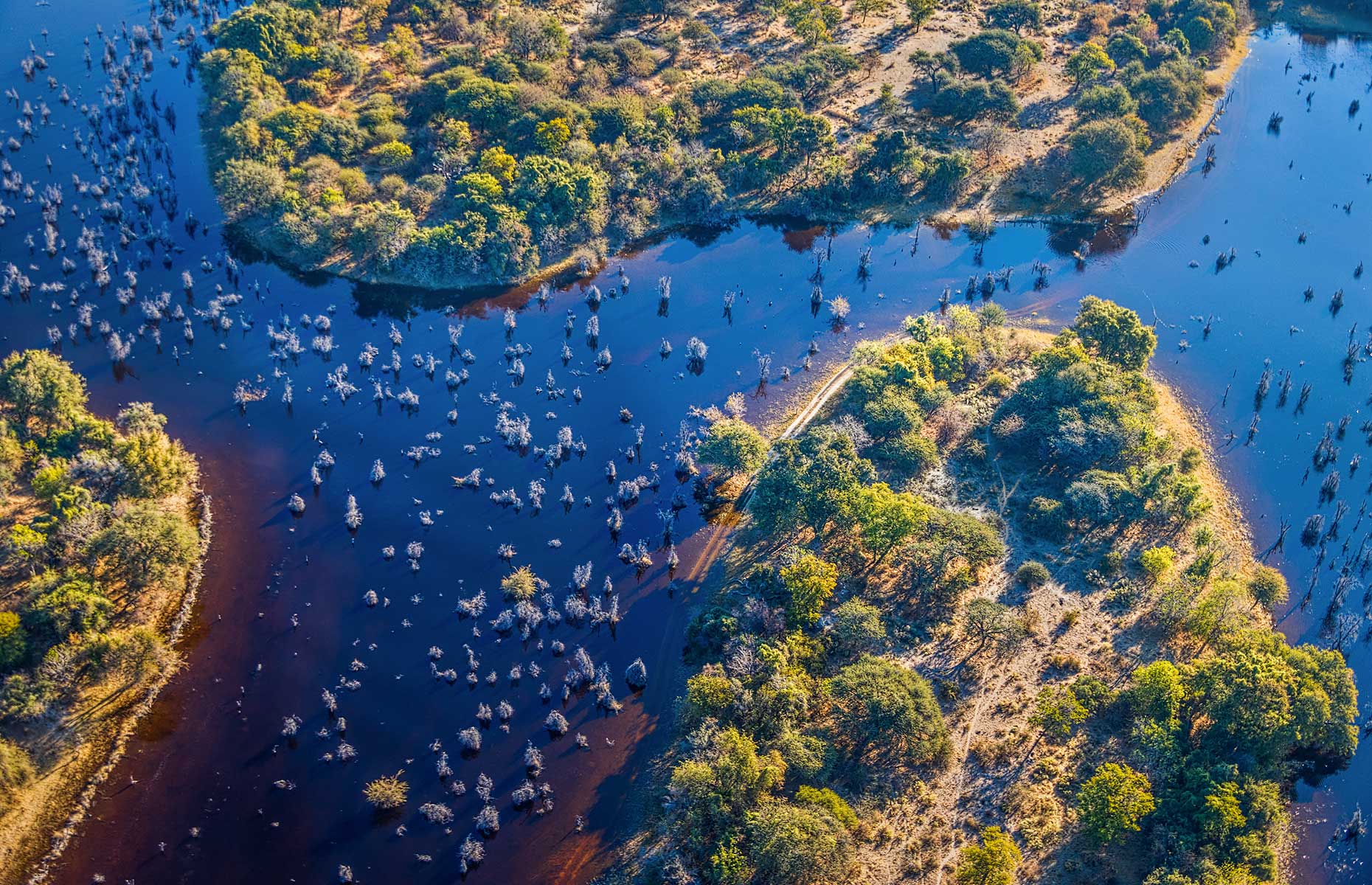 Okavango Delta, Botswana (Image: Vadim Petrakov/Shutterstock)