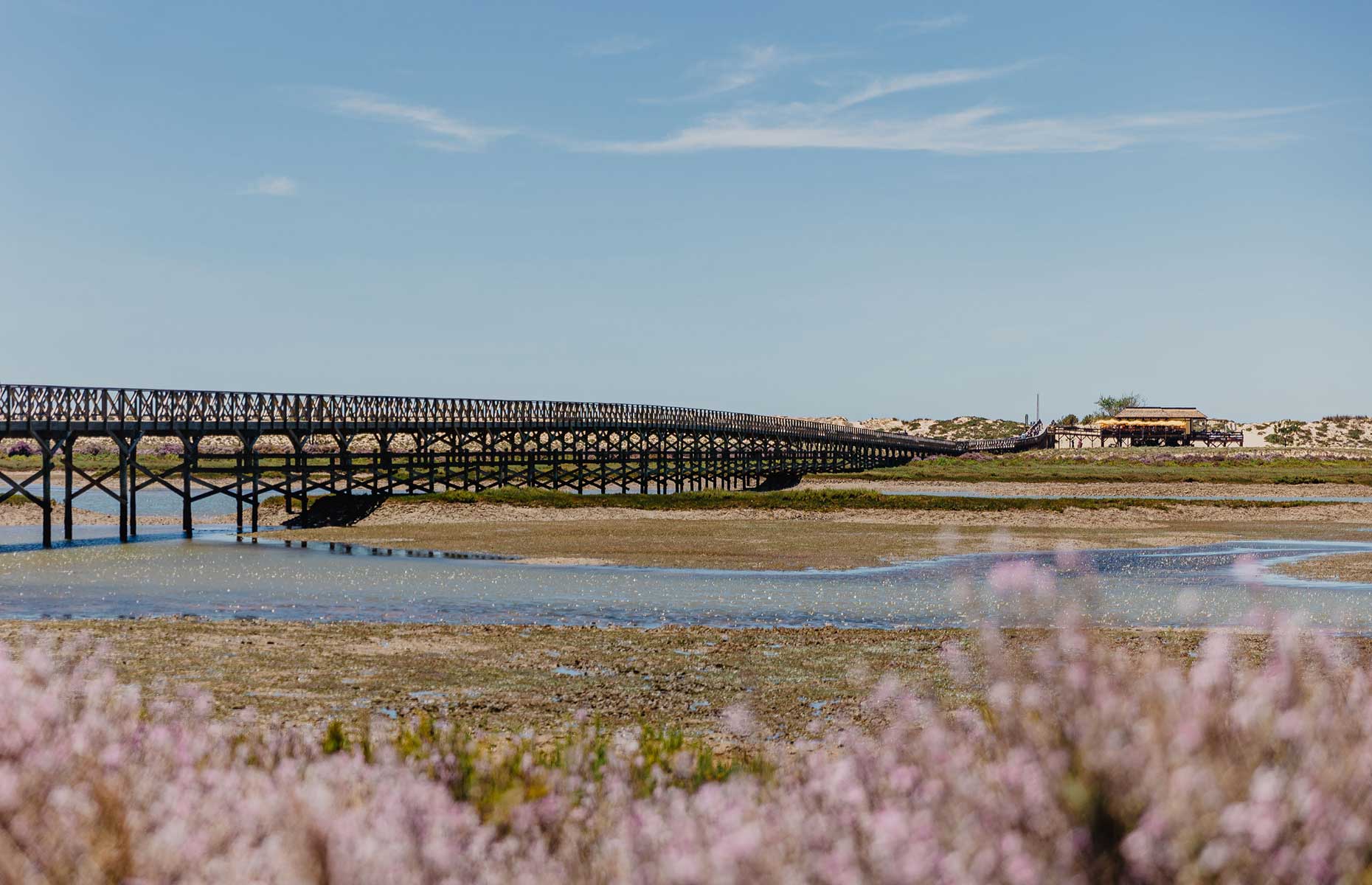 Ria Formosa, Algarve (Image: Quinta do Lago)