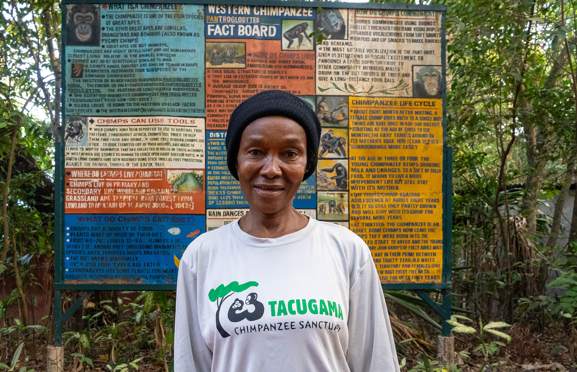 Mama P – surrogate mother to many of the orphaned chimps at Tacugama (Peter Moore)