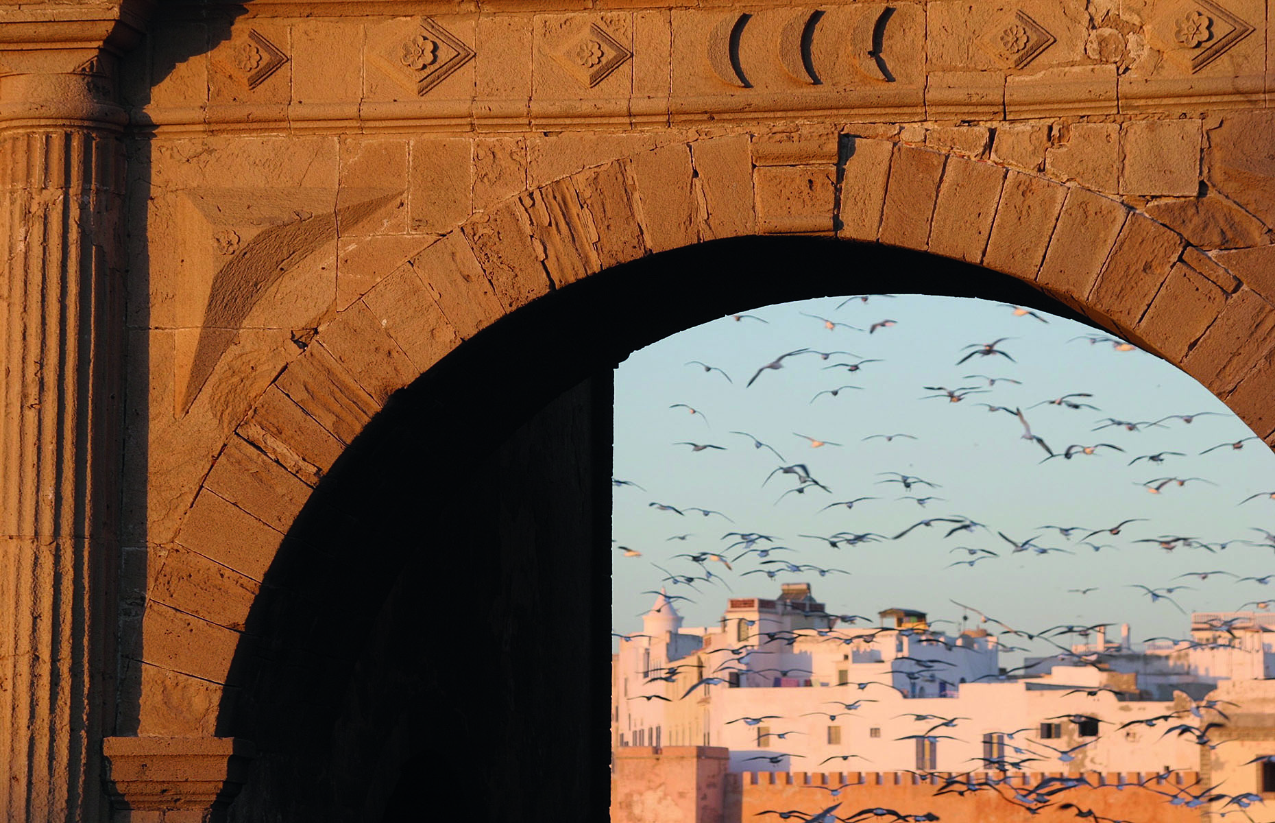 Essaouira (Le Jardin des Douars)