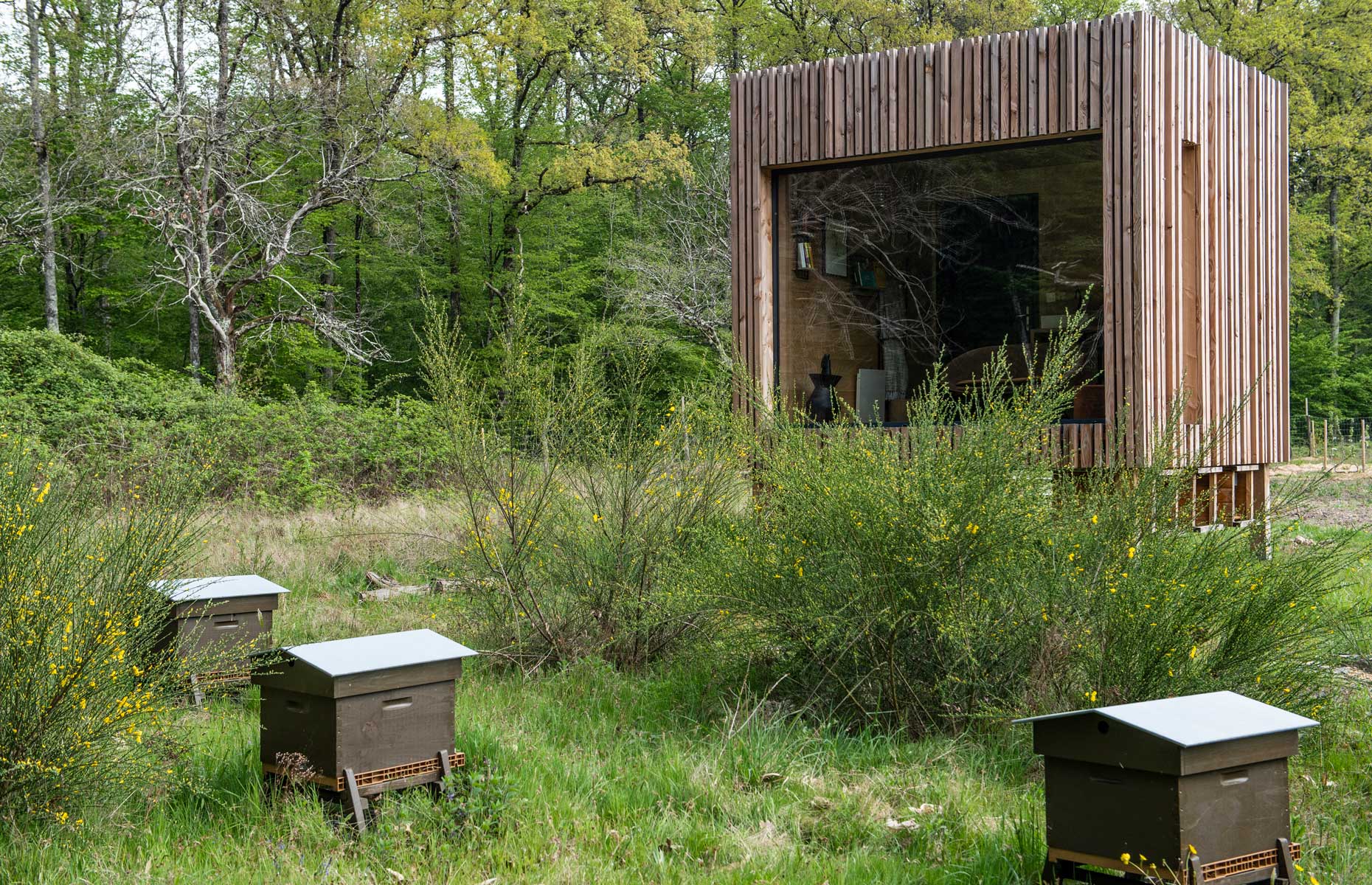 Bee cabin, Loire Valley Lodges: Image (Loire Valley Lodges) 