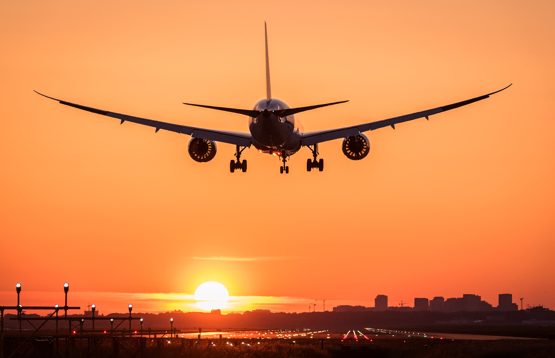 Flight at sunrise (Image: Nieuwland Photography/Shutterstock)
