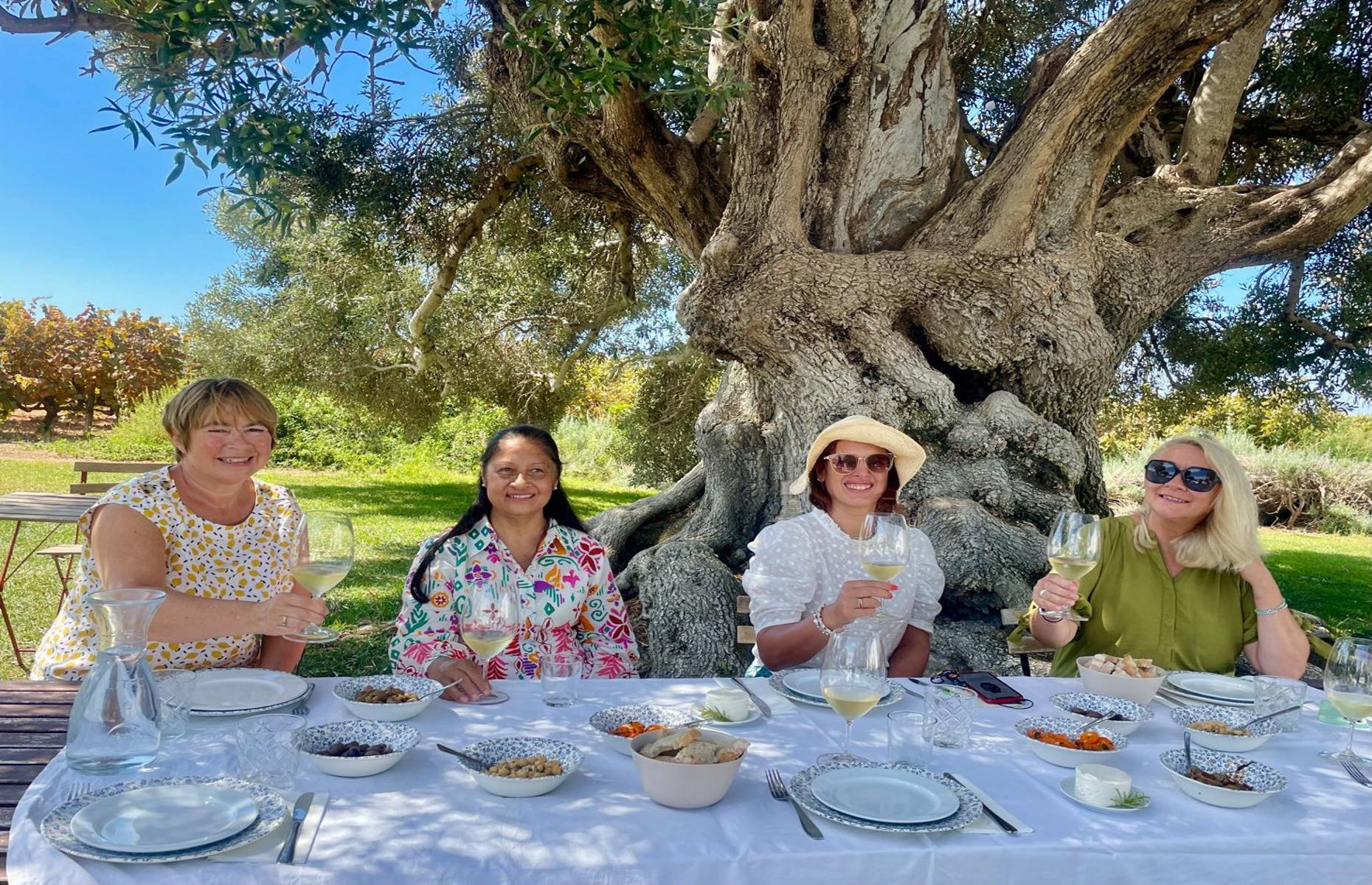 Under the olive tree at Morgado do Quintao (Image: Antonia Windsor)