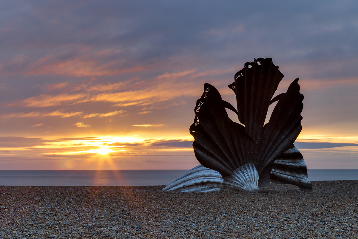 Scallop, Aldeburgh beach, Suffolk