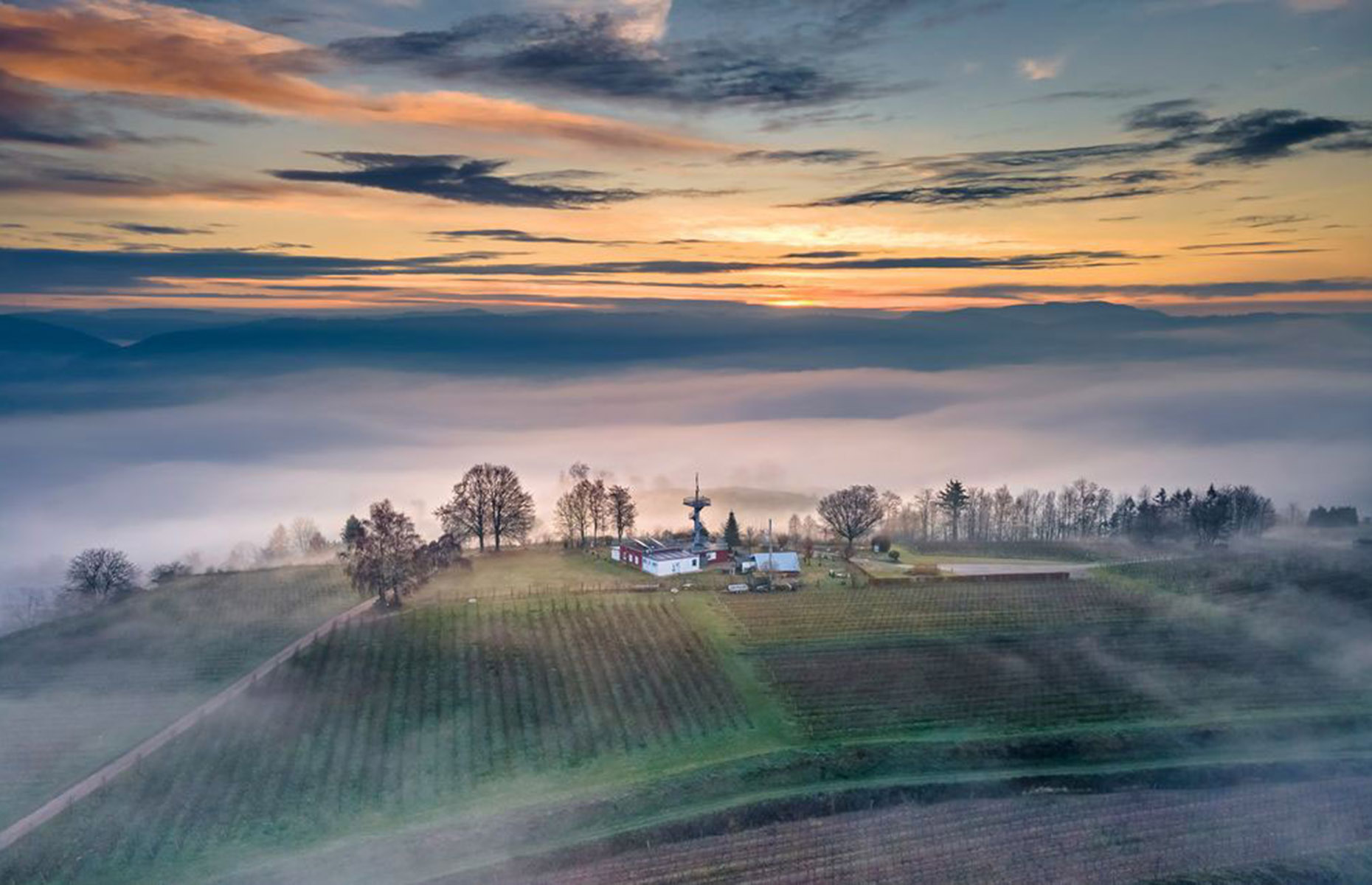 Heubergturm, Black Forest. (Image: zum Heuberg/Facebook)